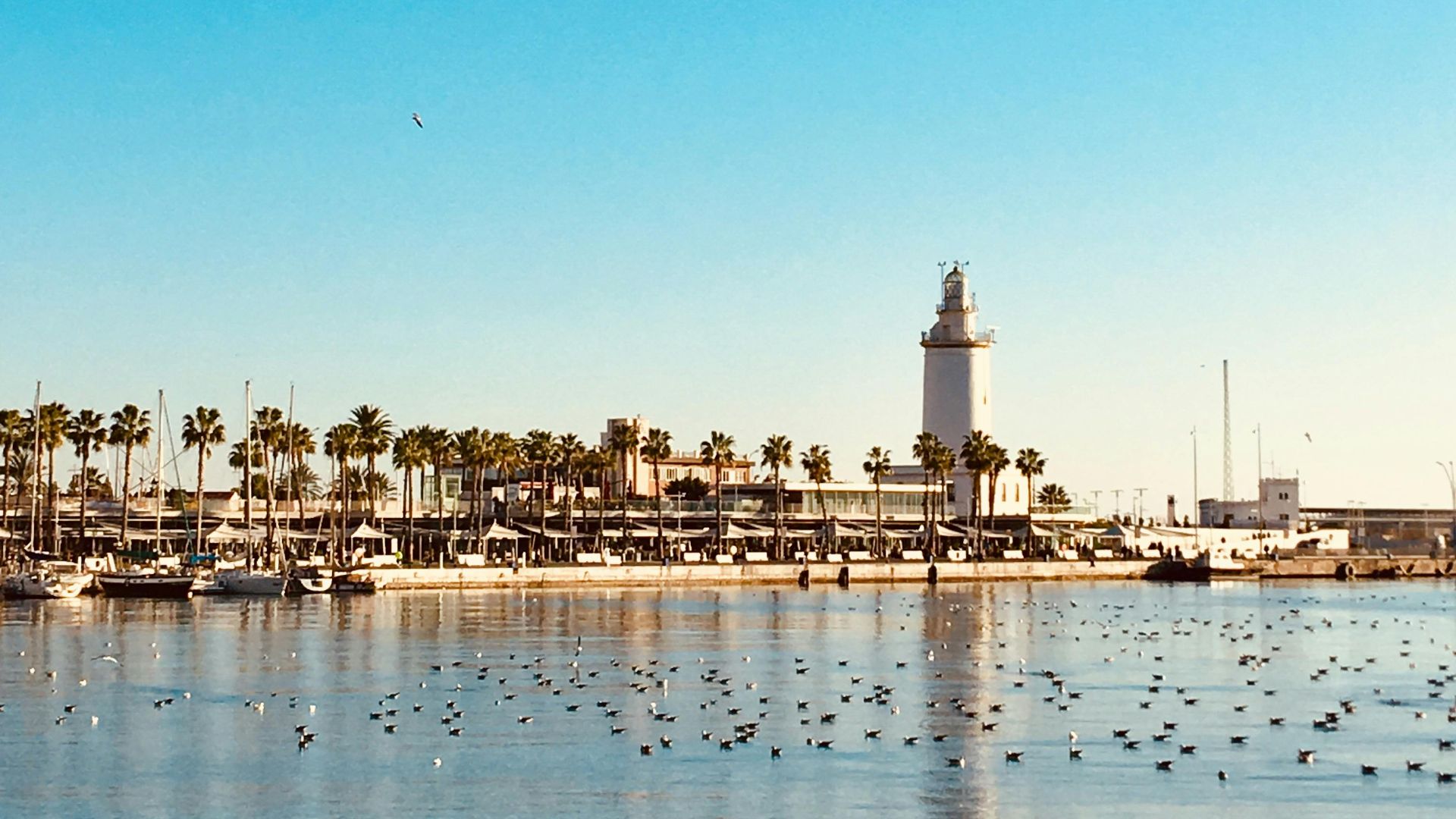 Juany Jimenez Torres