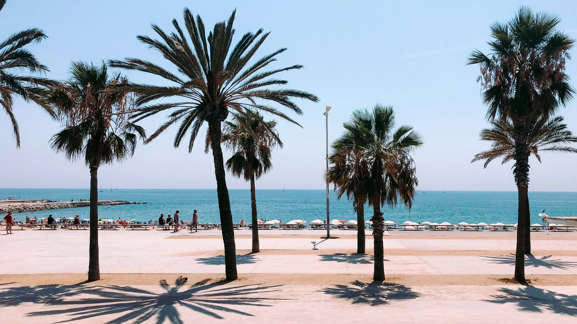 people on beach during daytime