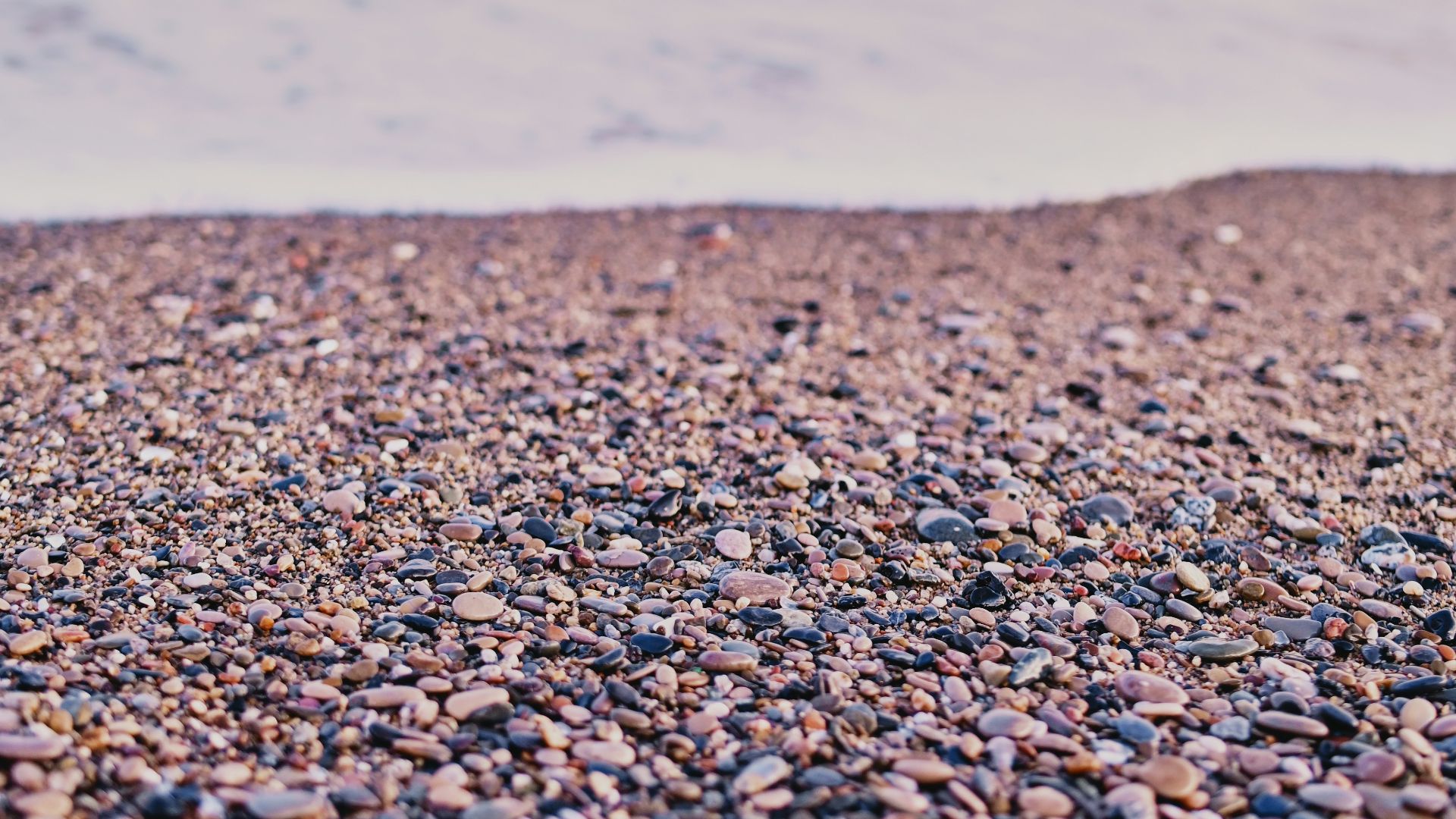 brown and black pebbles near body of water during daytime