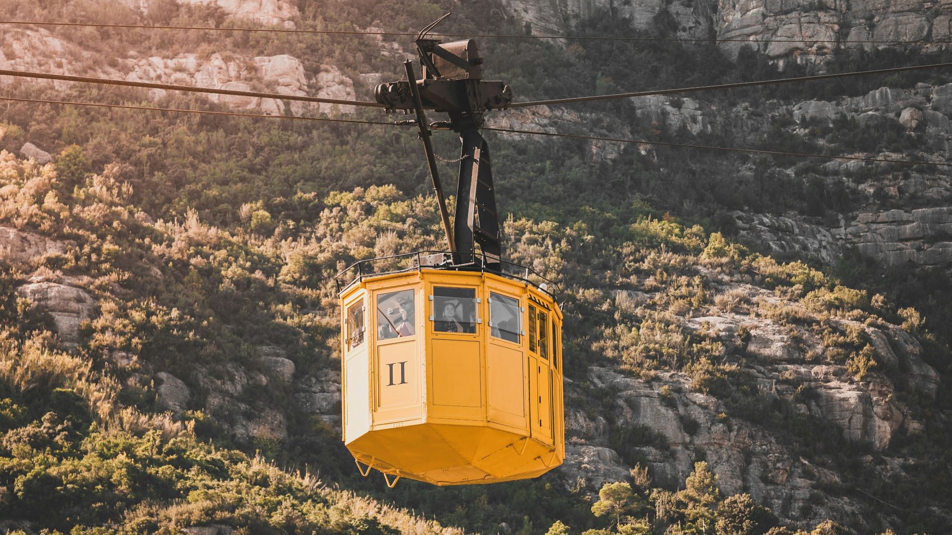 yellow and black cable