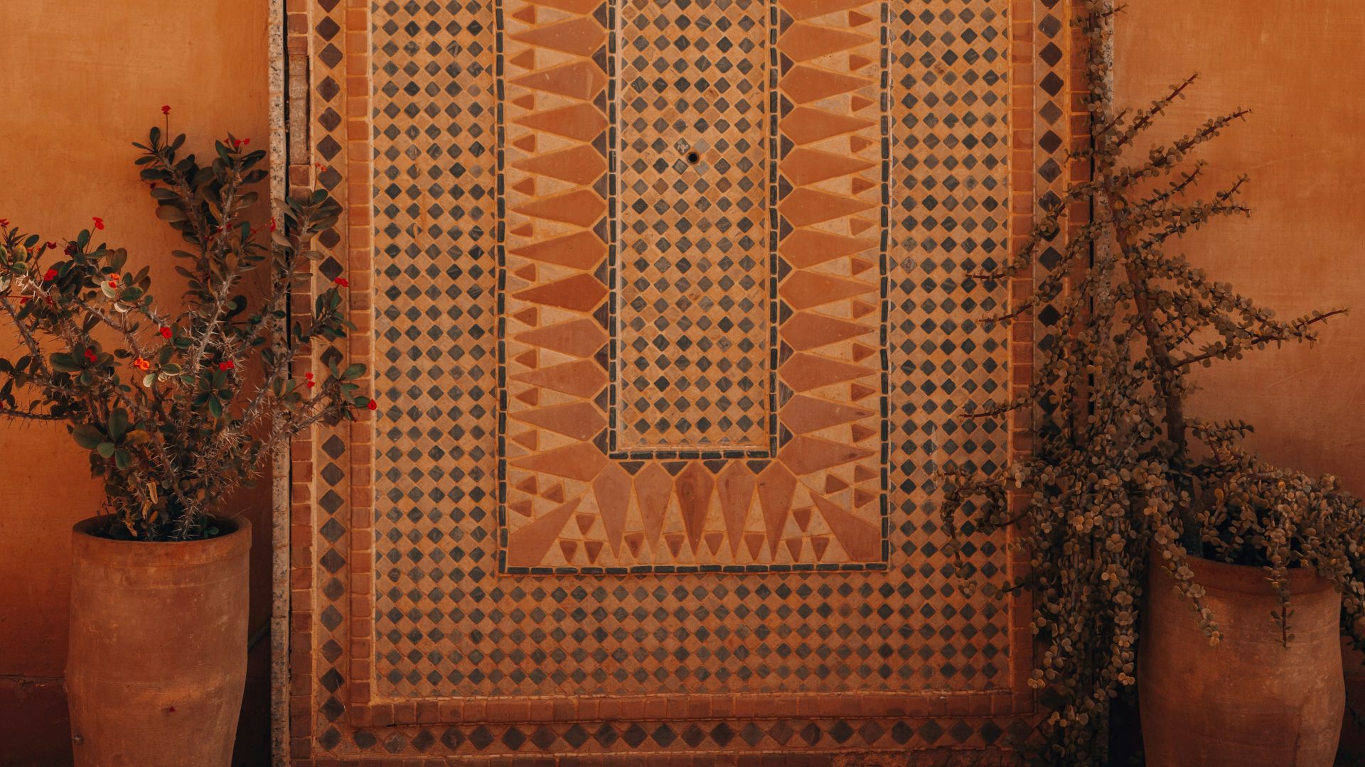 Moroccan tile artwork with plants.