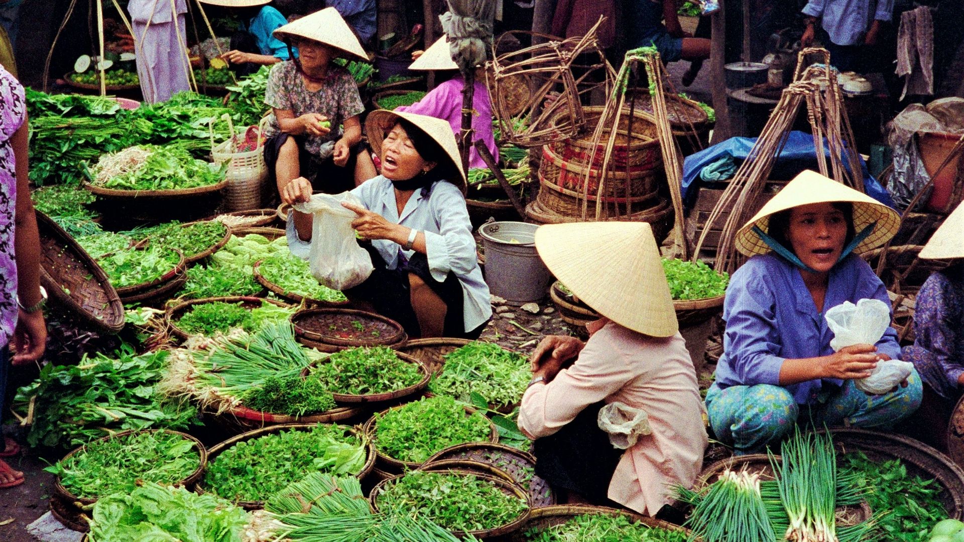 people sitting on brown wooden chair surrounded by green vegetables during daytime
