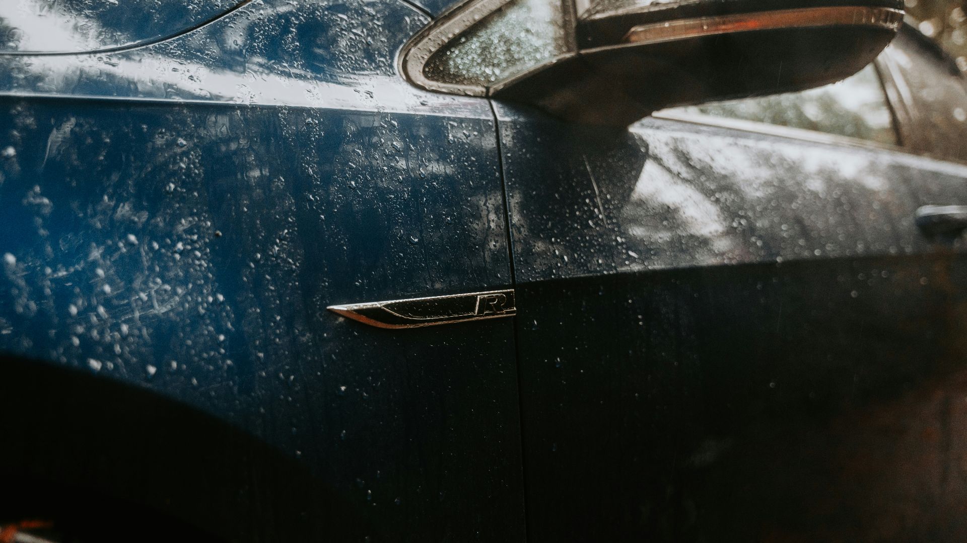 A cat sitting on the hood of a car