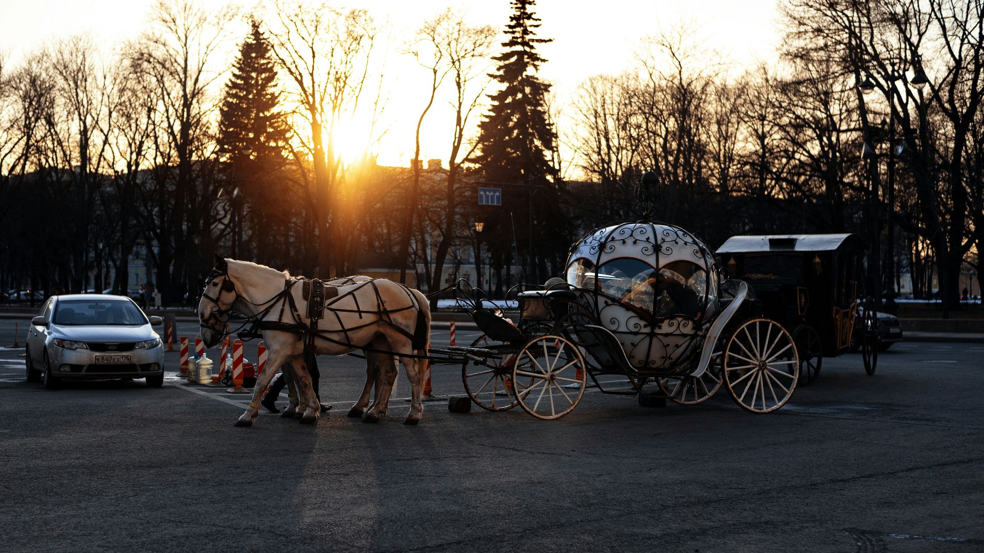 a horse drawn carriage in a parking lot