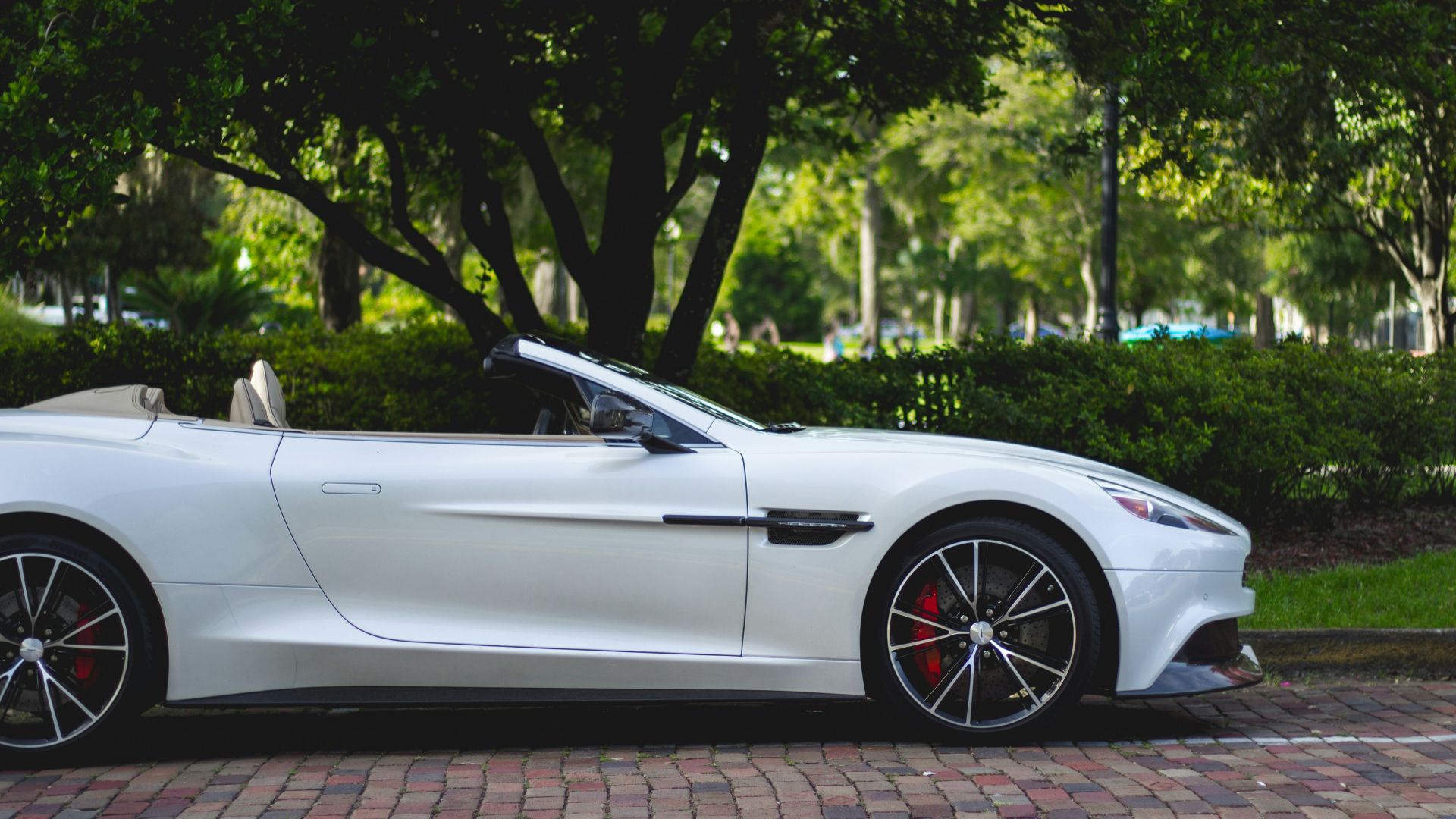 white Aston Martin convertible parked near trees