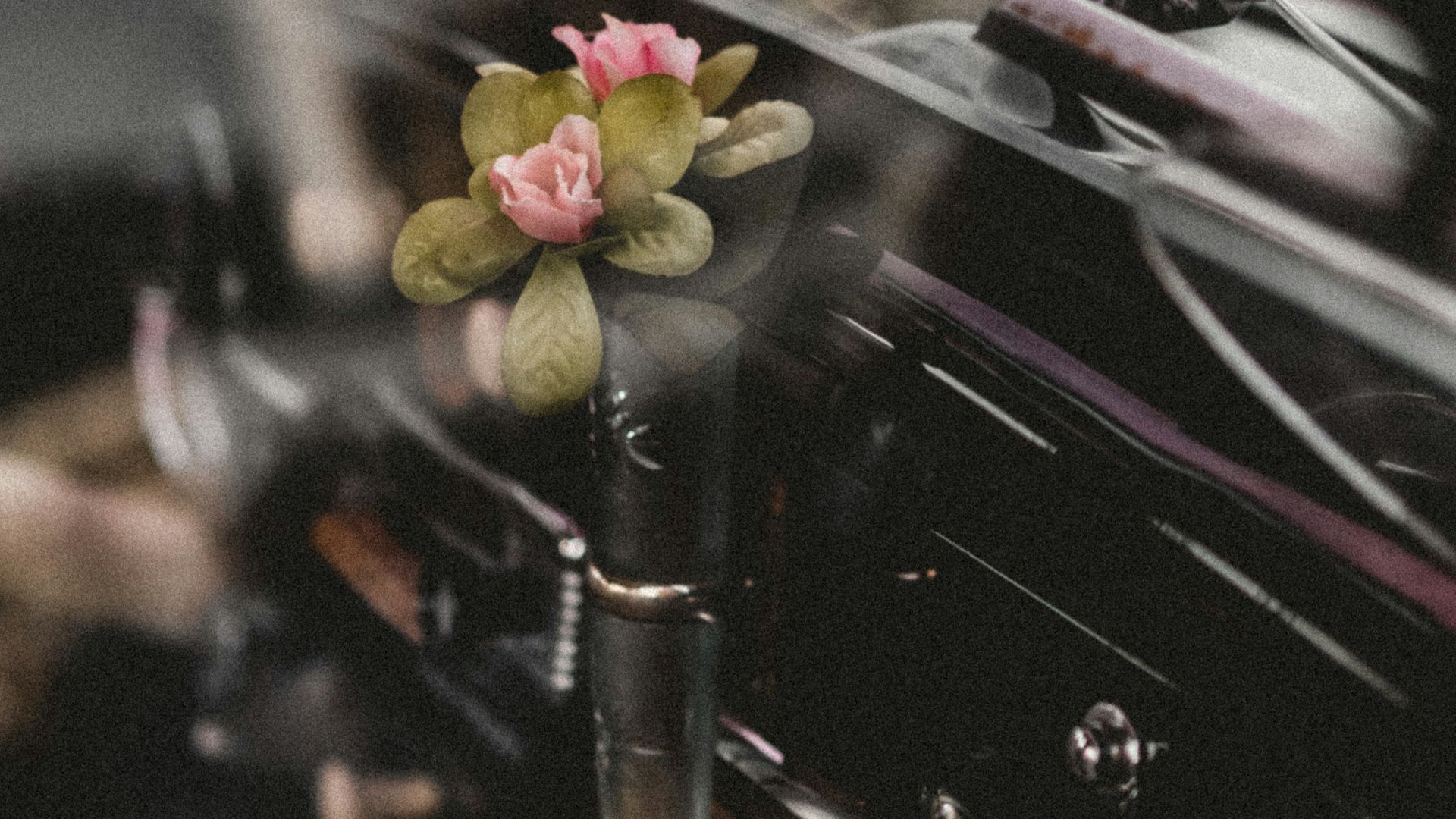 a car with a flower on the hood
