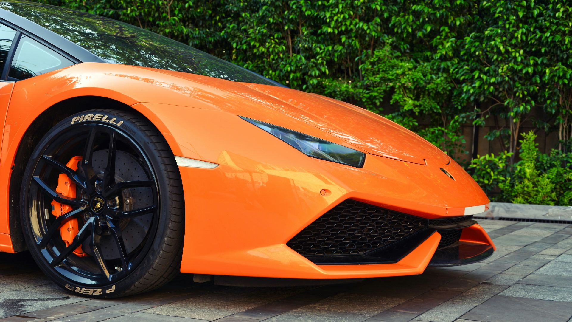 orange ferrari car parked near green leaf plants during daytime