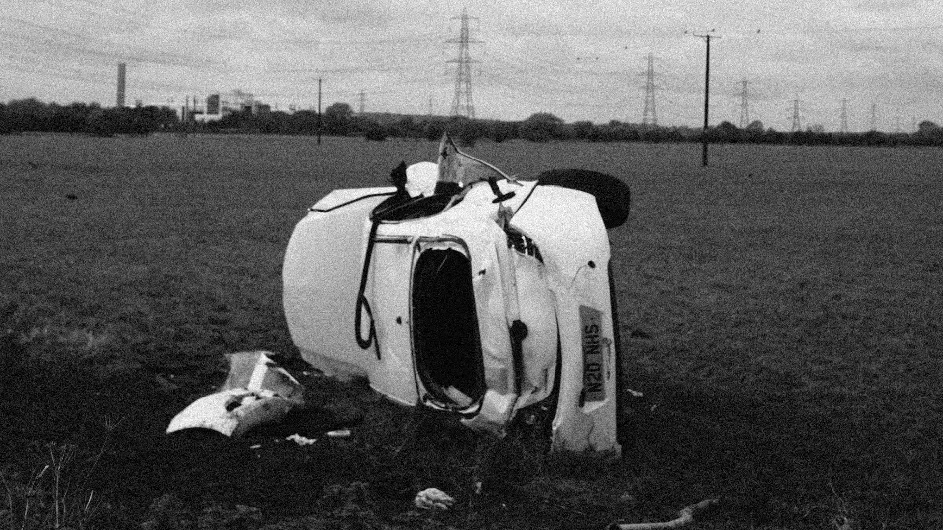 grayscale photo of horse on grass field