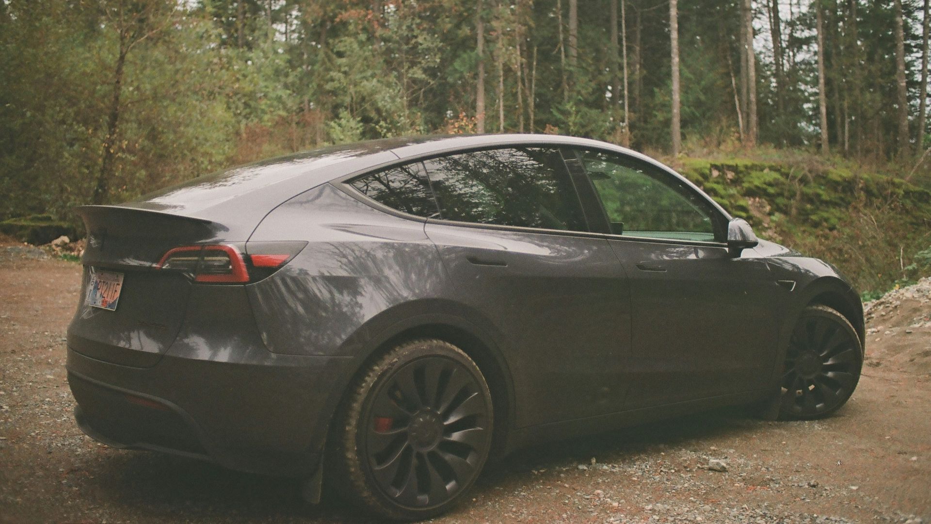 a car parked on a dirt road in front of a forest
