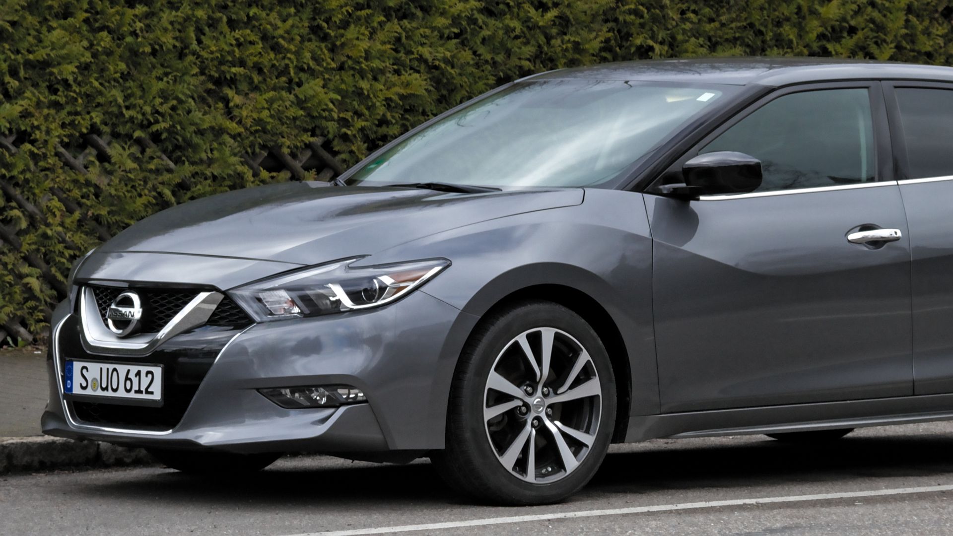 File:Nissan Maxima (A36) IMG 0337.jpg