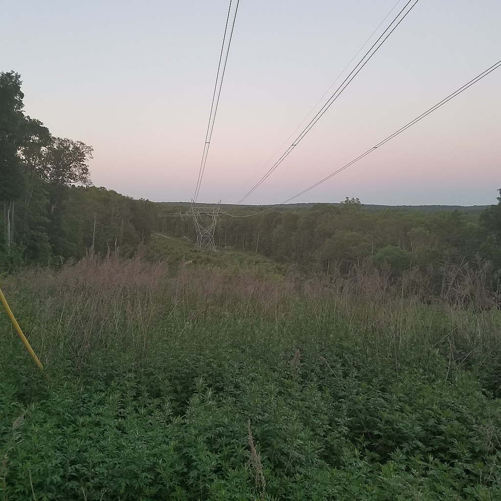 1024Px-Clinton Road 20160617 203720