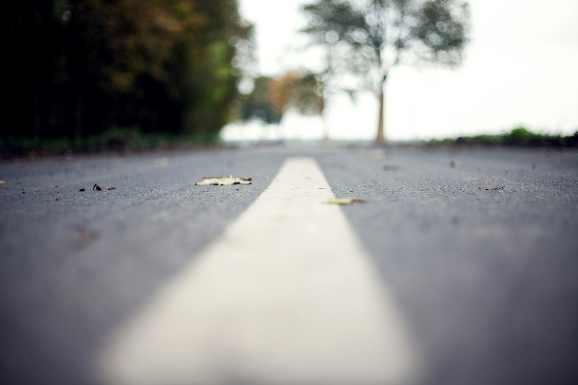 Maria-Stiehler-O0Xalix51Pq-Unsplash