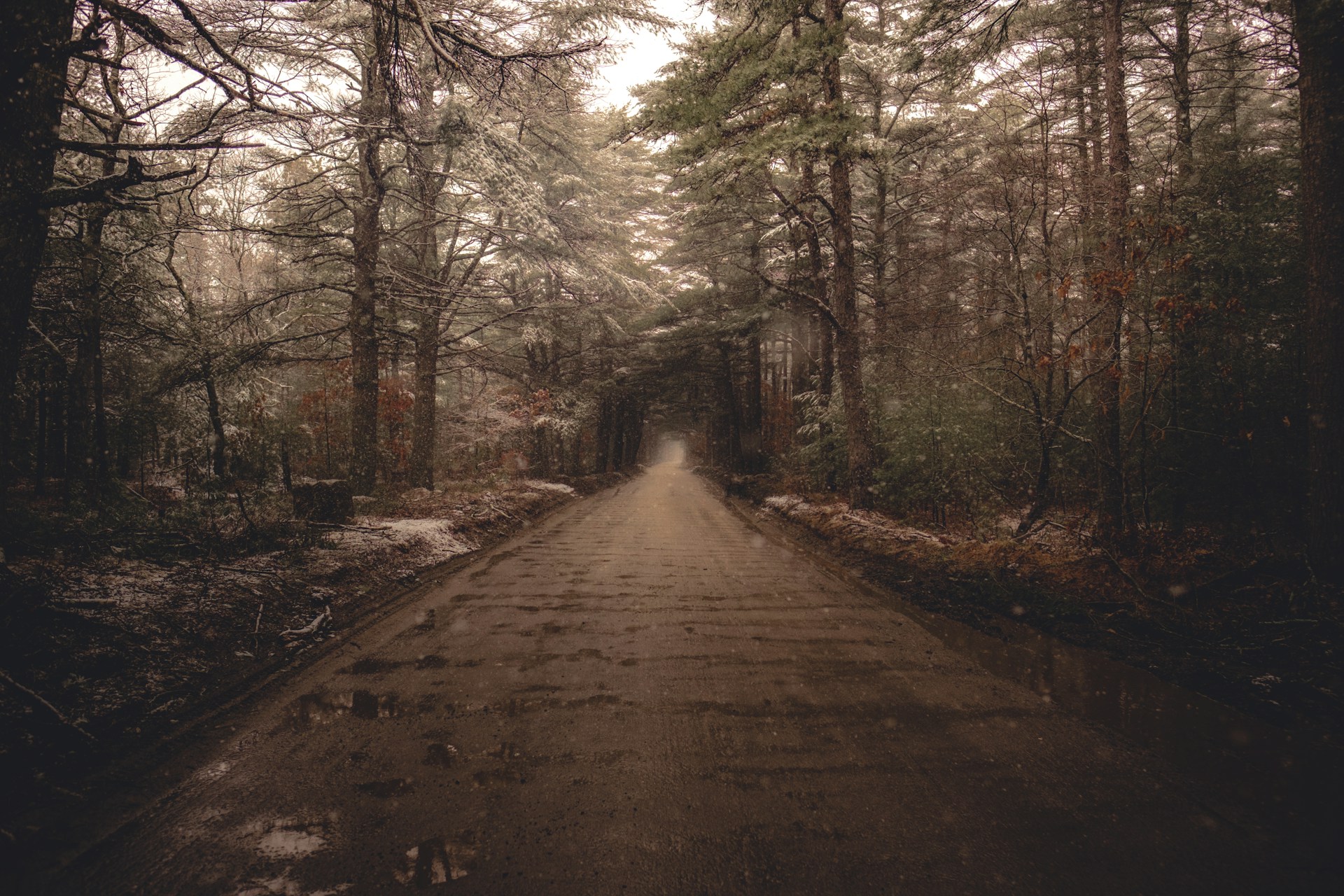 Osman-Rana-4Muw3Uub1Ls-Unsplash