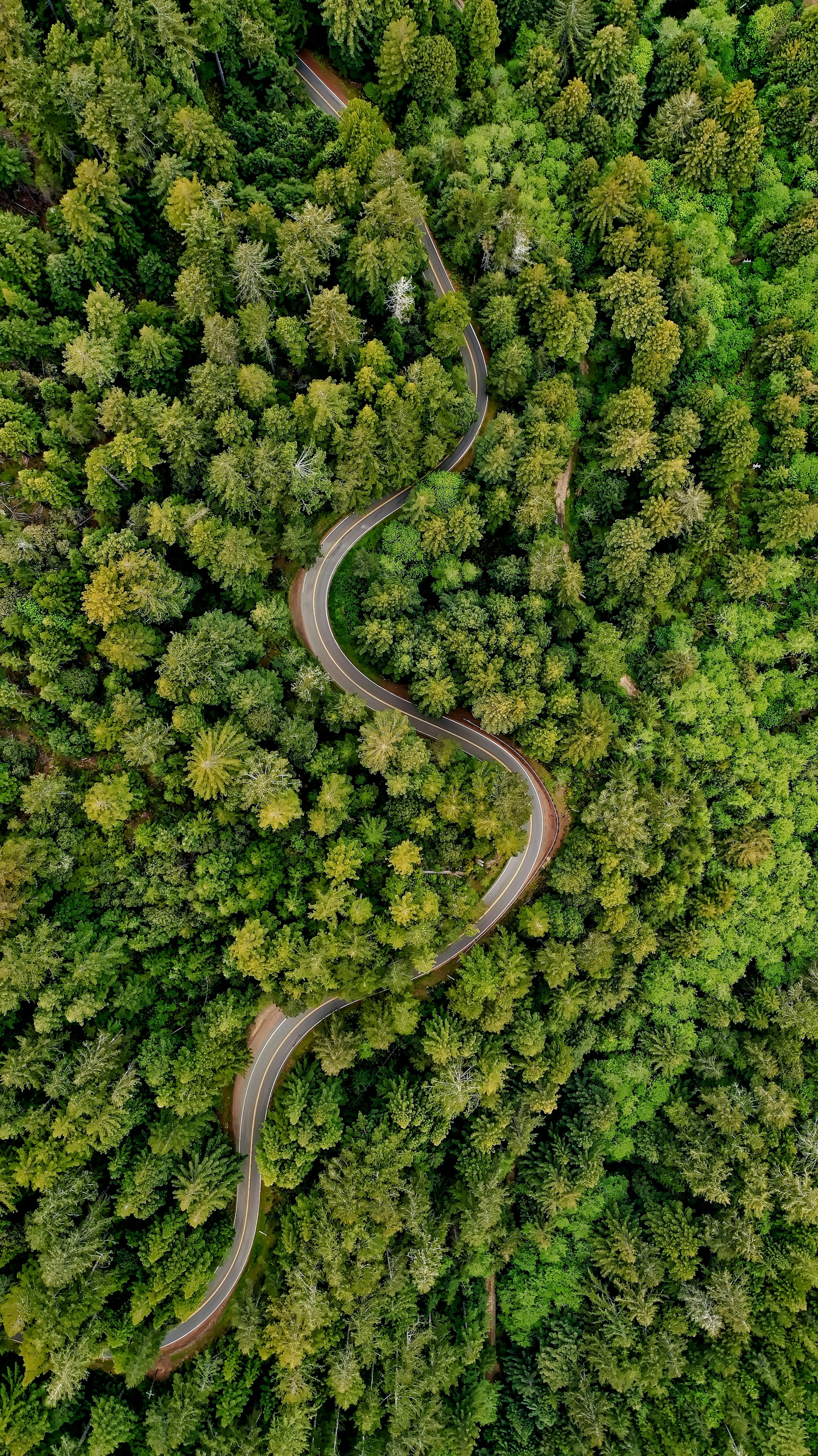 Venti-Views-Nlitym Jd5O-Unsplash