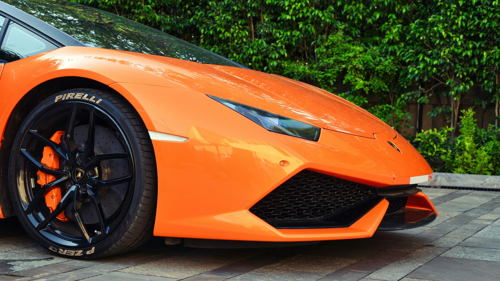 orange ferrari car parked near green leaf plants during daytime