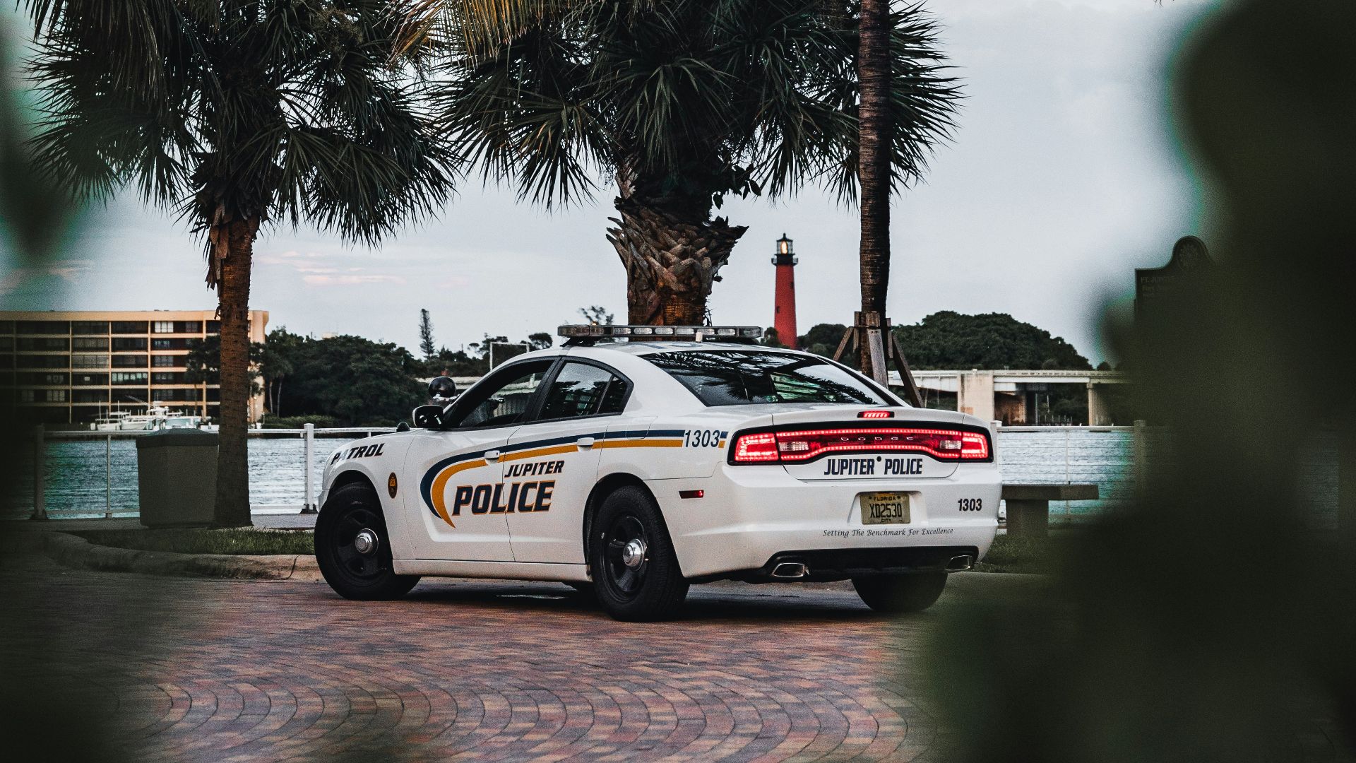 white and black porsche 911 on water