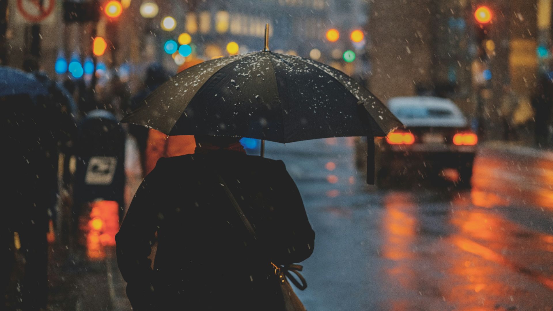person walking on street and holding umbrella while raining with vehicle nearby