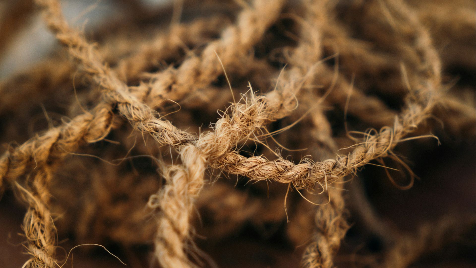 A close up of a person's hand holding a piece of yarn