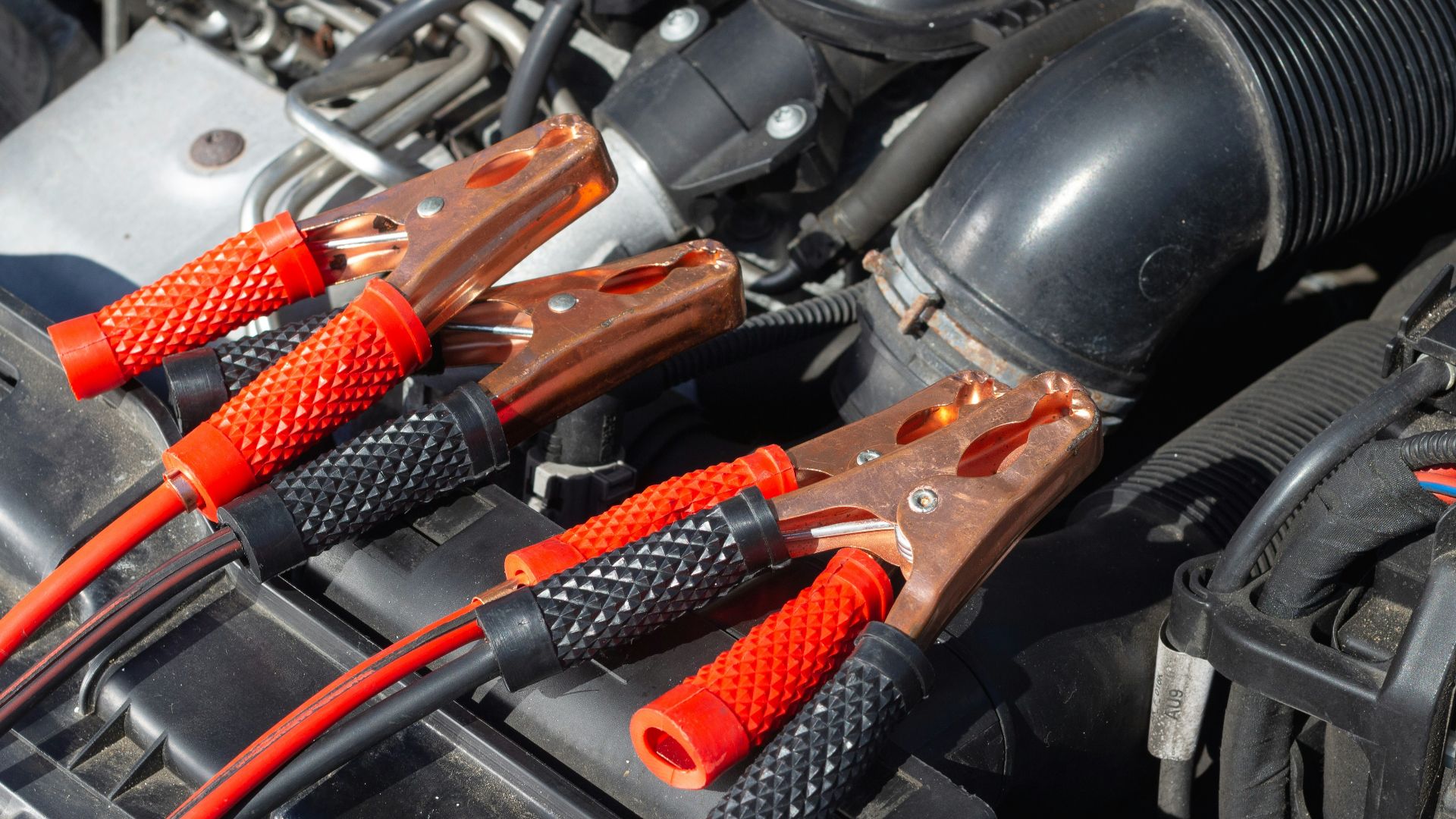 black and brown handle hand tool