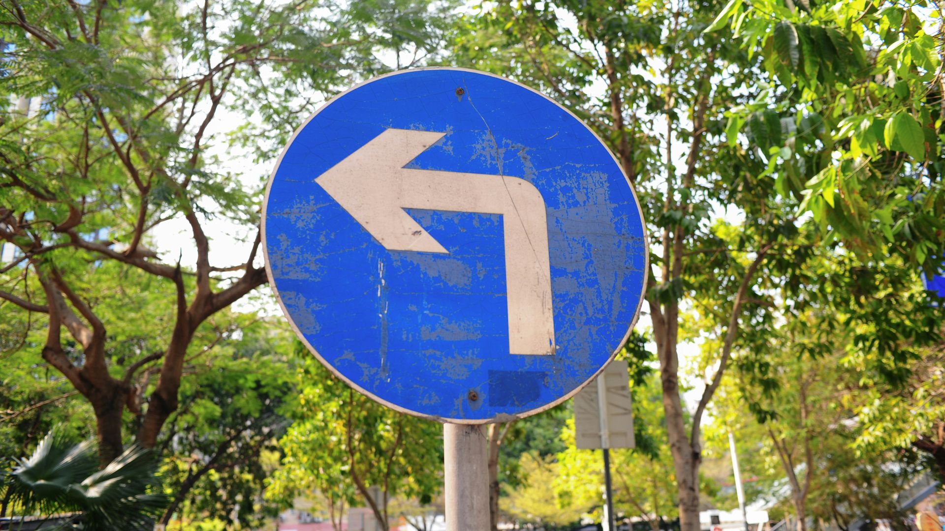 Blue traffic sign with a white left turn arrow