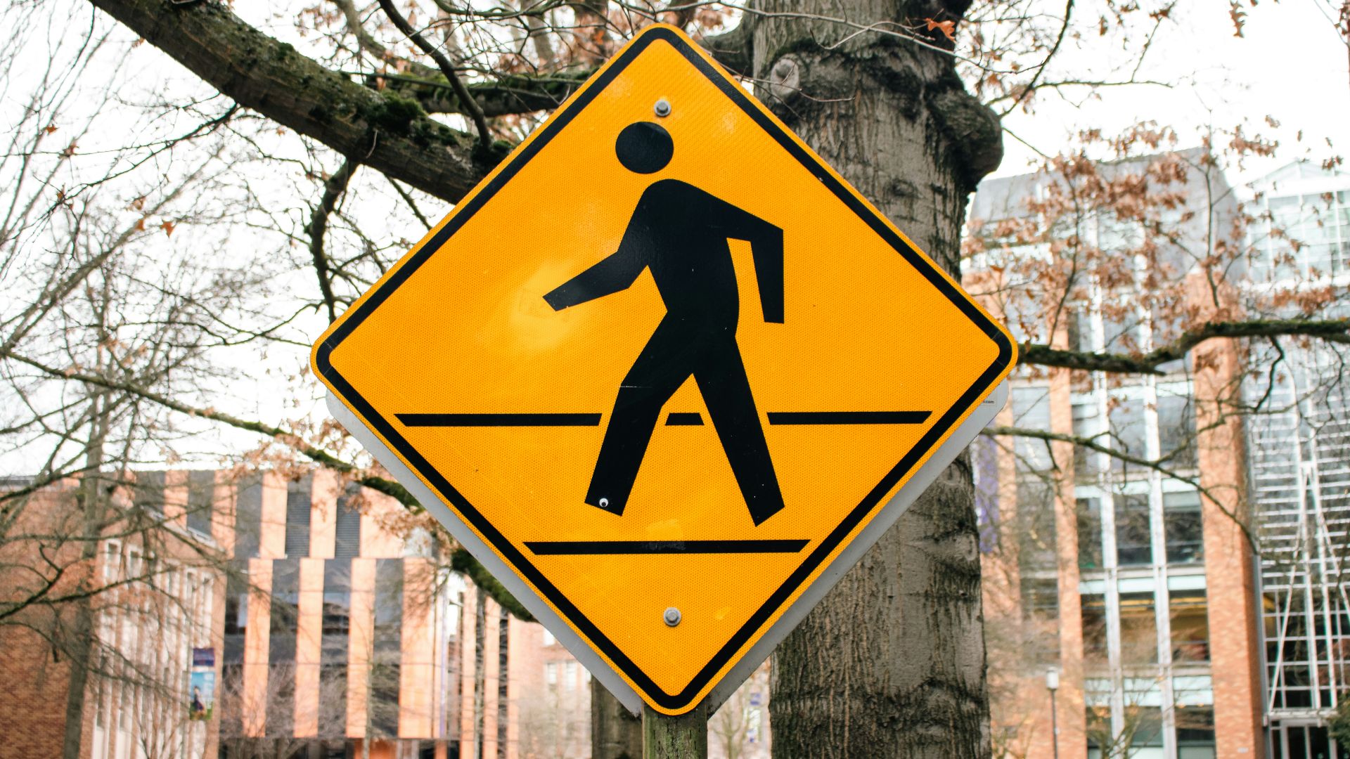 Pedestrian crossing sign warns of crosswalk ahead.