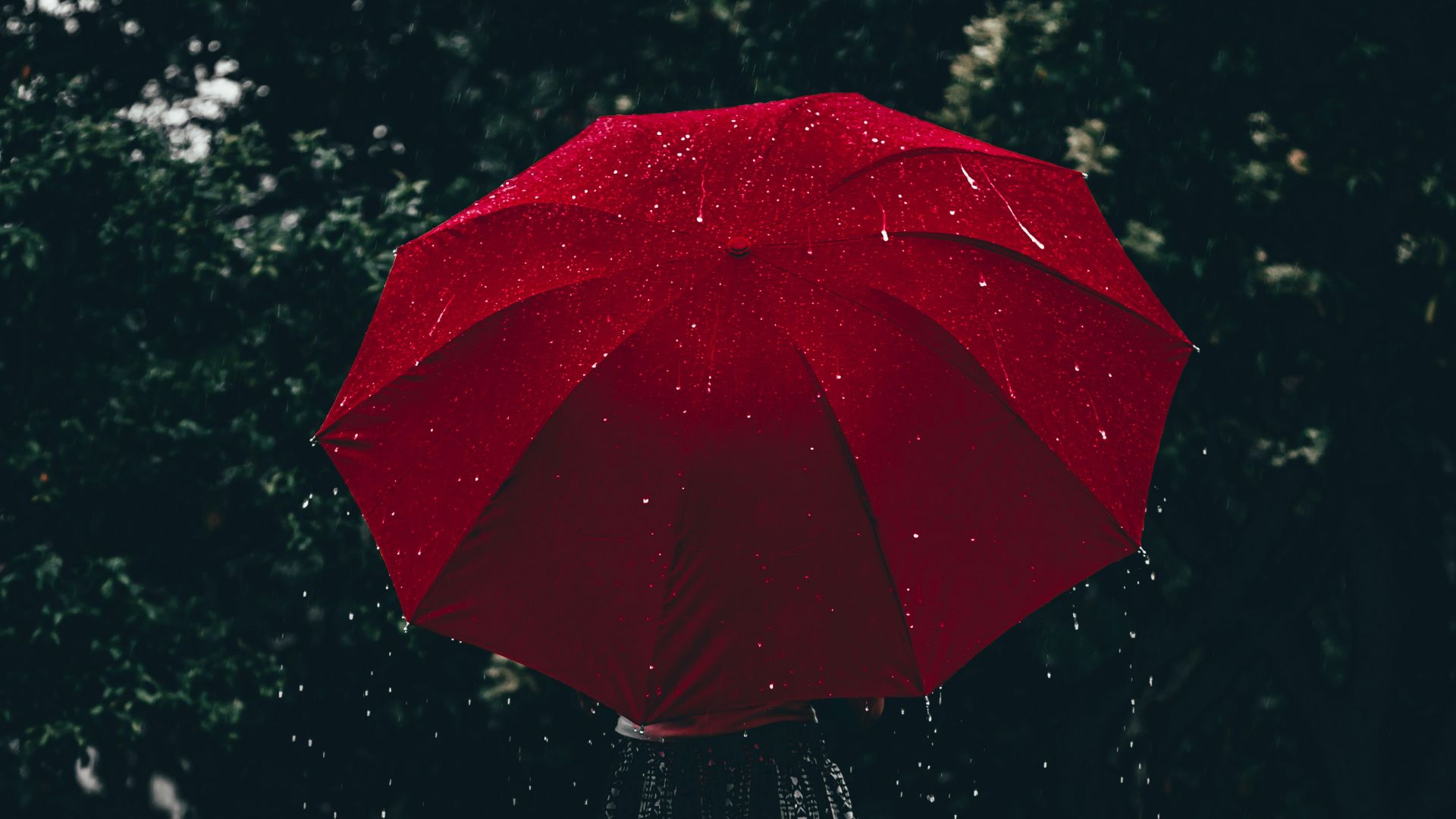 woman holding red umbrella standing near tree at daytime