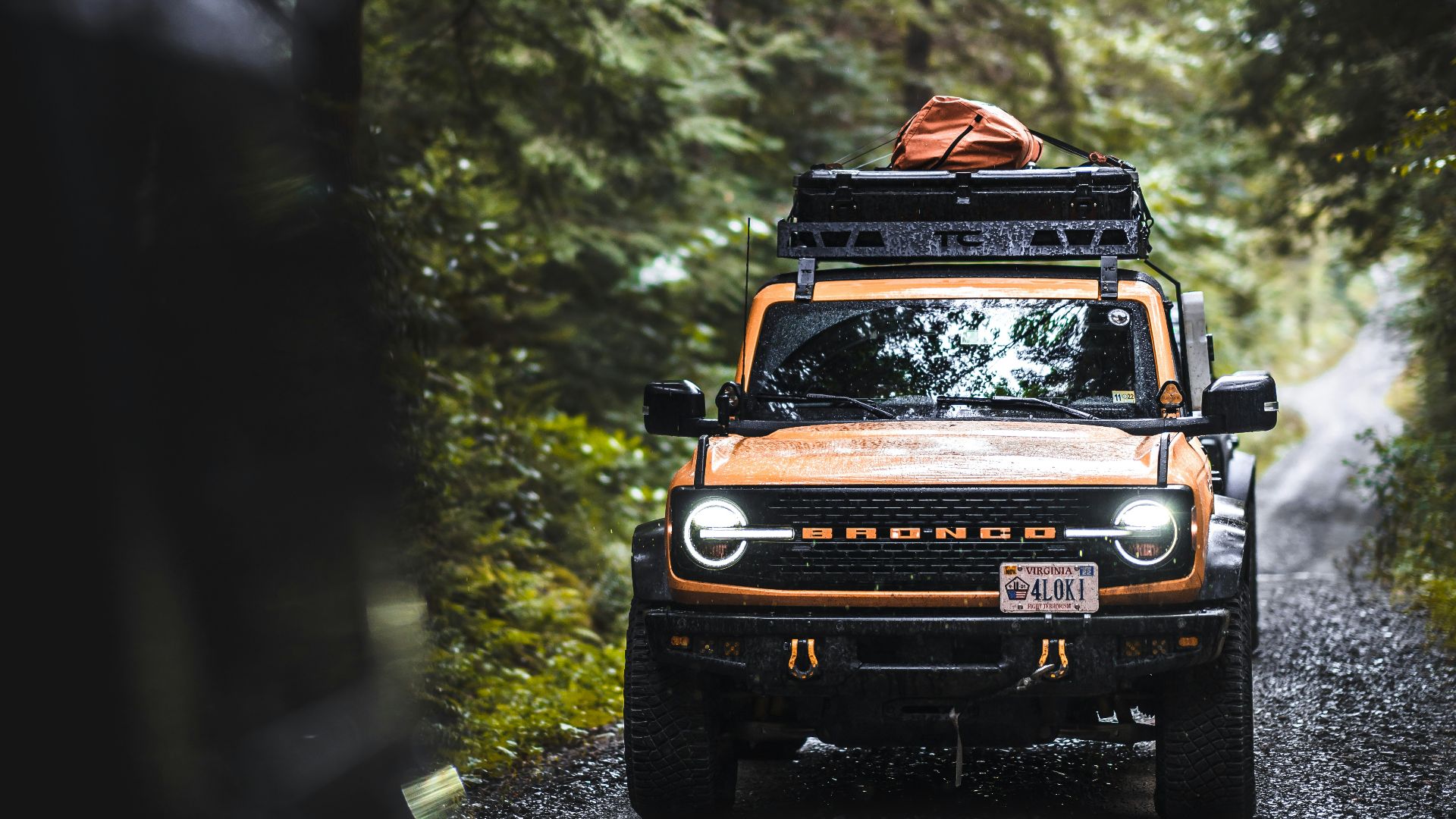 An orange bronco drives down a forest path.