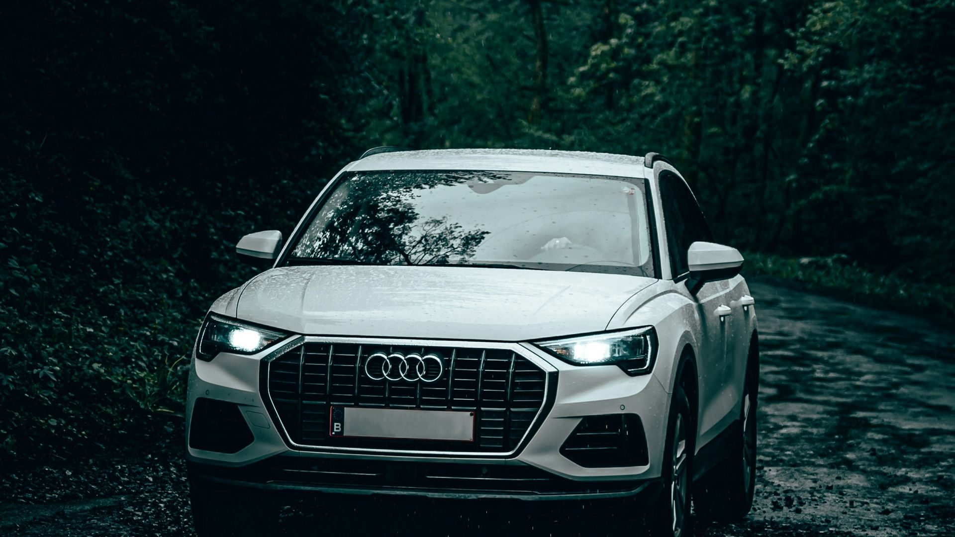 silver mercedes benz c class on forest during daytime