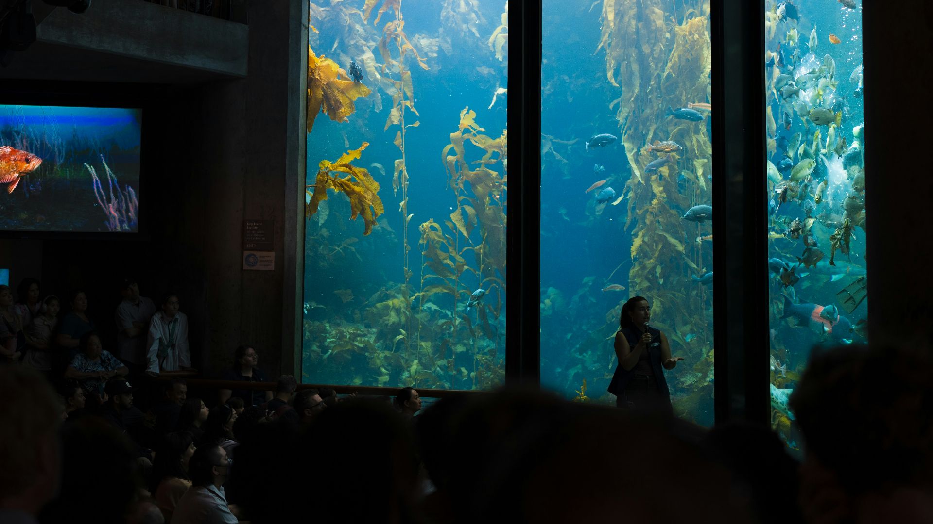 A large aquarium filled with lots of fish