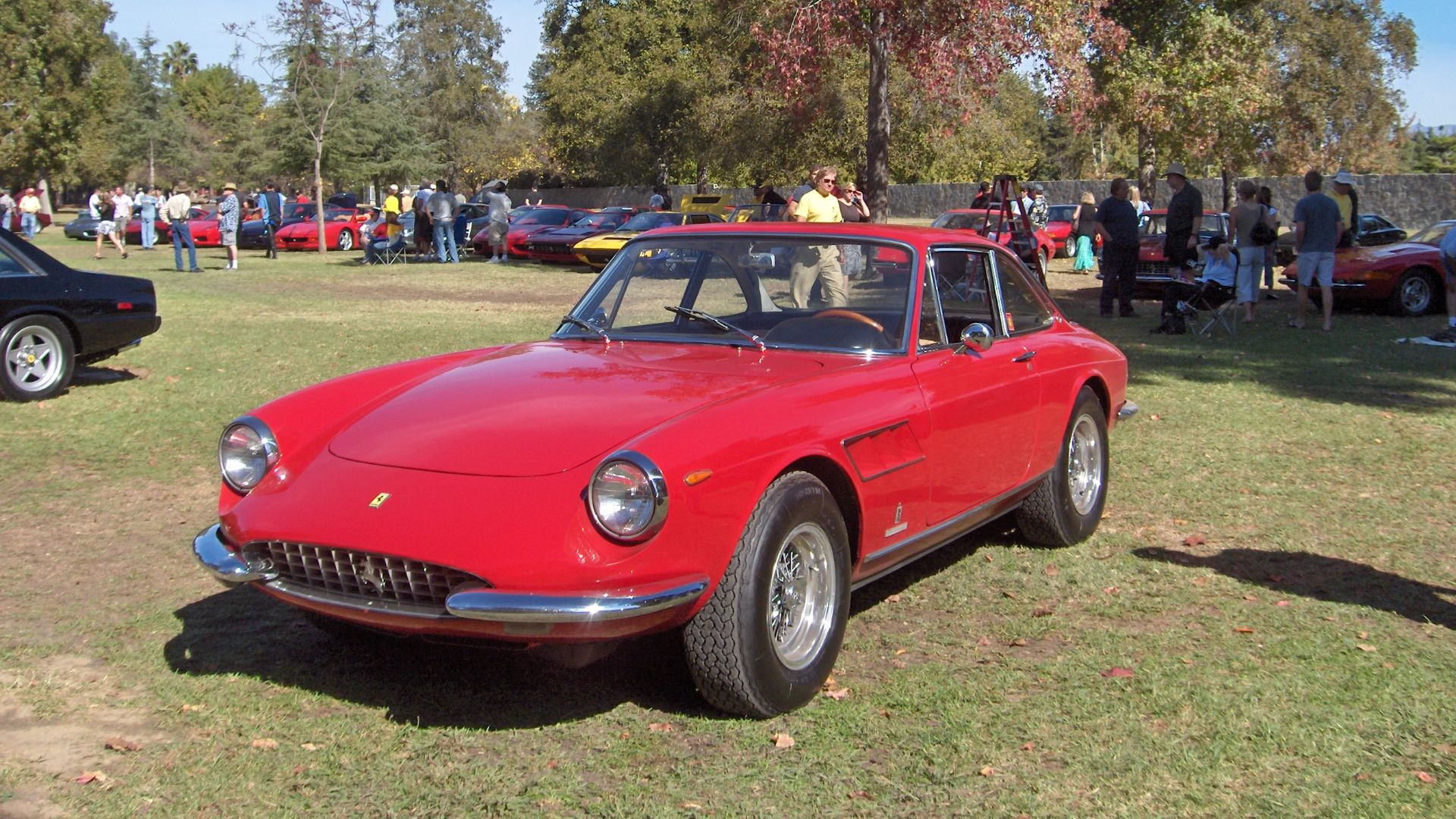 File:Ferrari 330 GTC in park.jpg