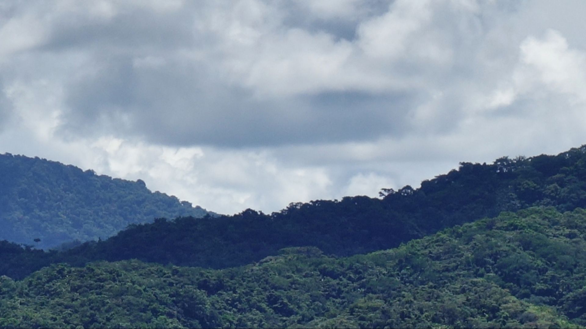 File:Darién From Caribbean.jpg