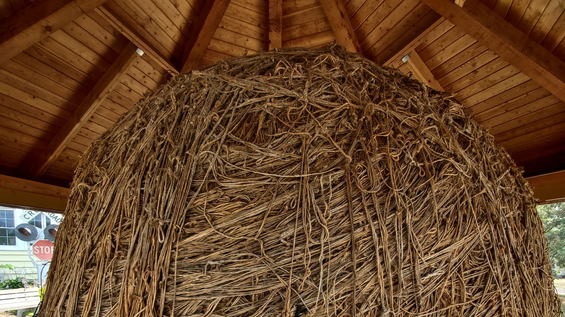 File:World's Largest Twine Ball, Darwin, Minnesota 2021-07-22.jpg
