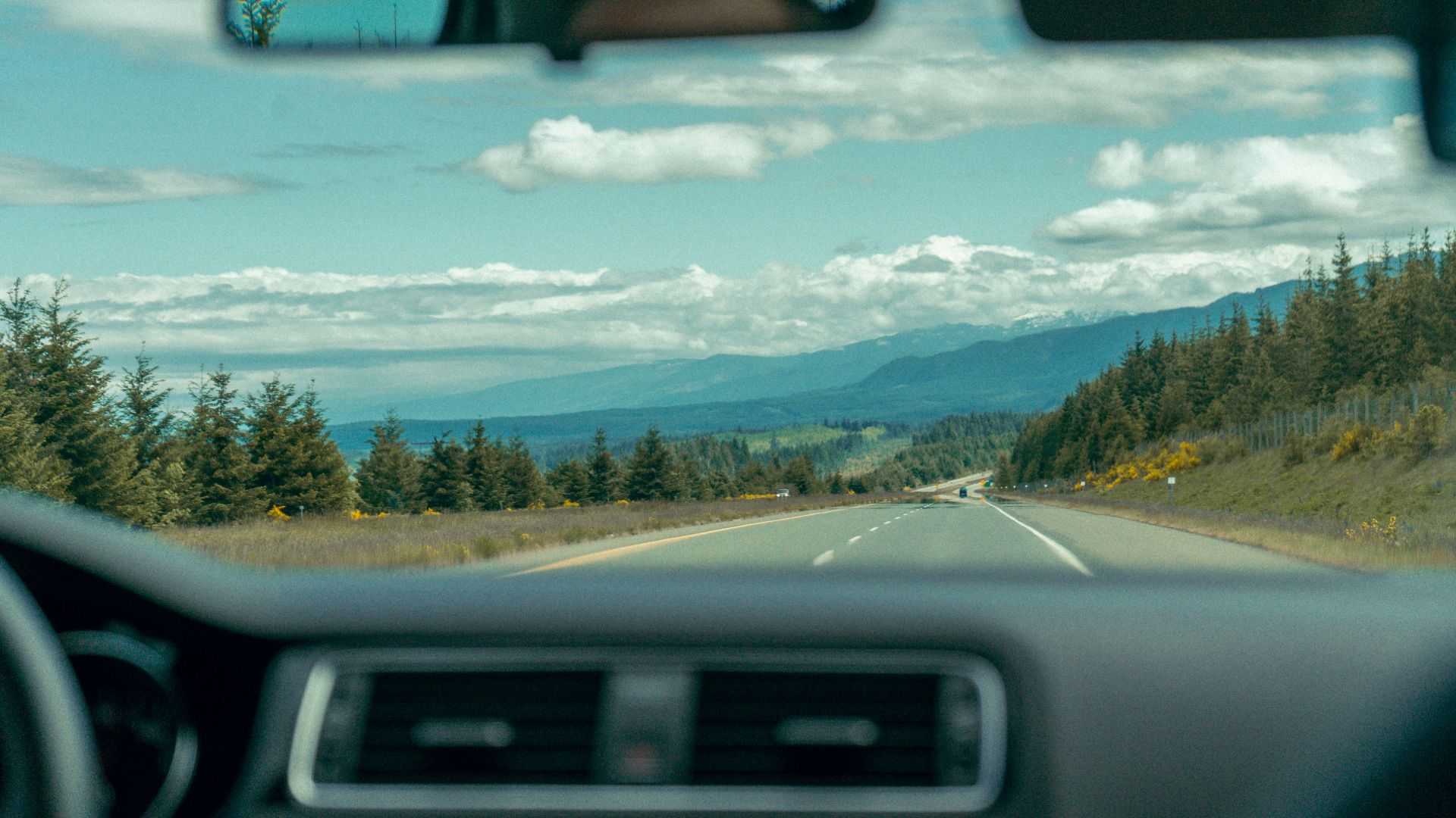 green trees and grass field during daytime