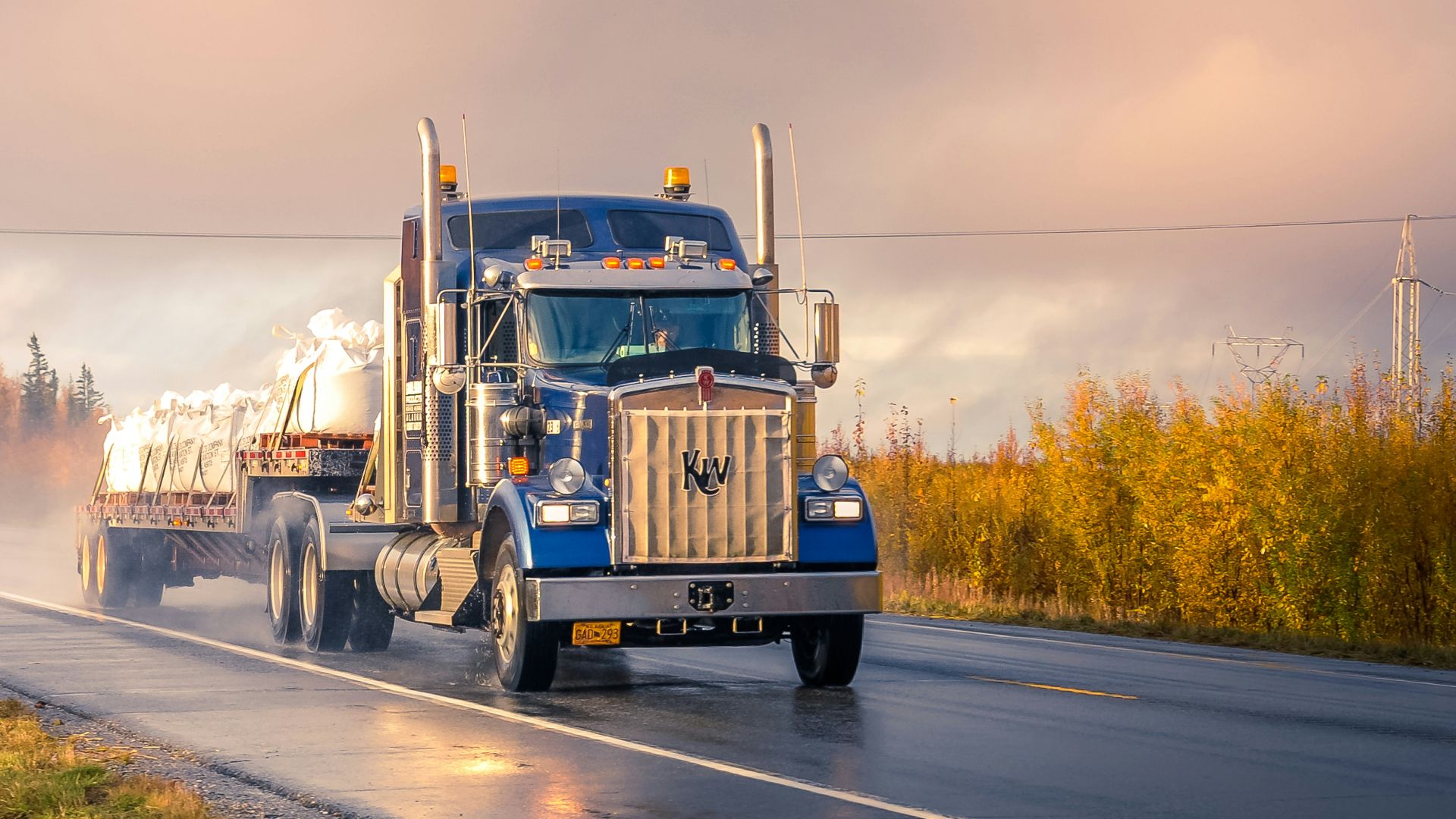 white and blue truck on road during daytime