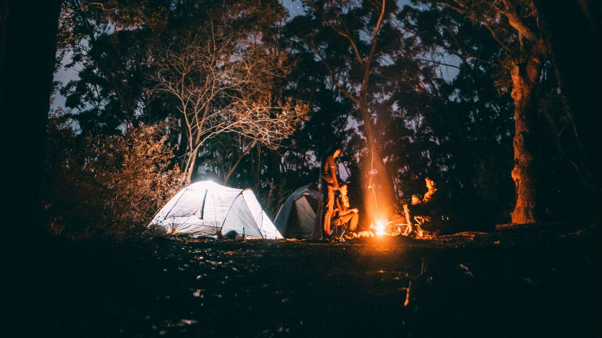 person sitting near bonfire surrounded by trees