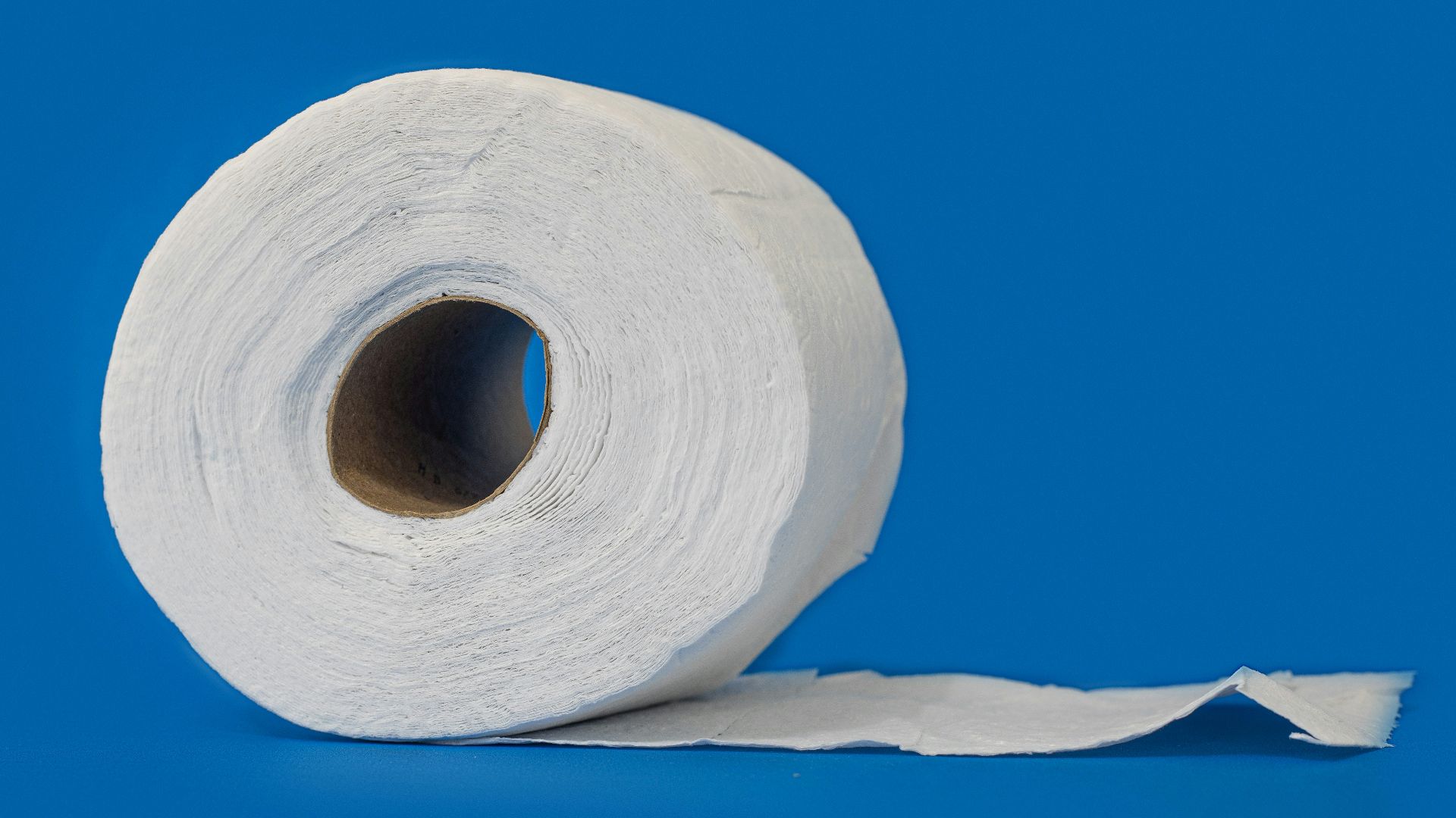 white tissue roll on white textile