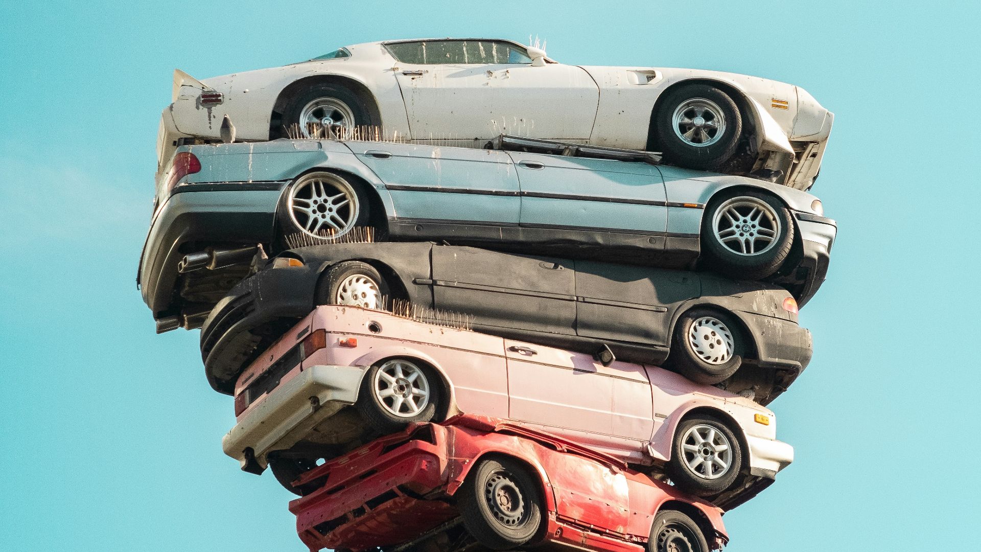 gray and red car on brown wooden log