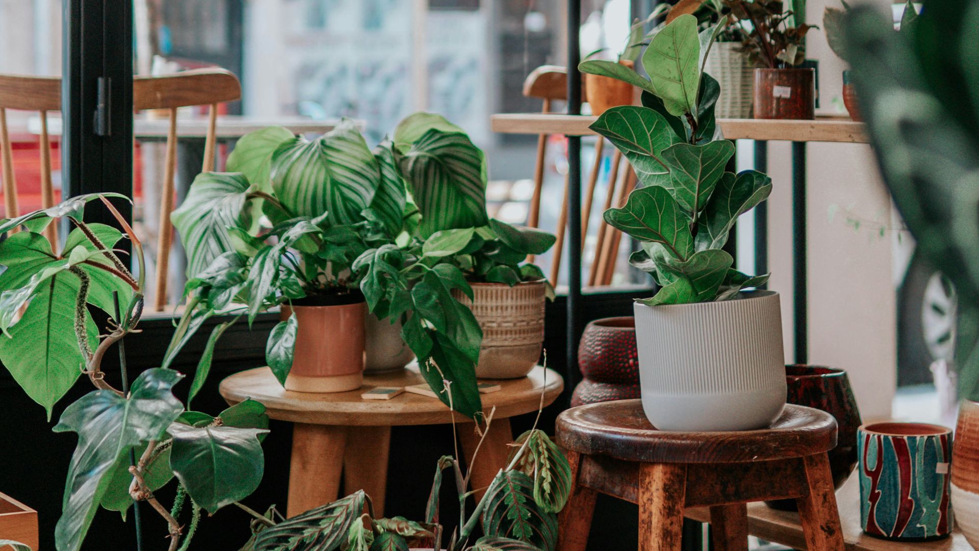 green potted plants on brown wooden seat