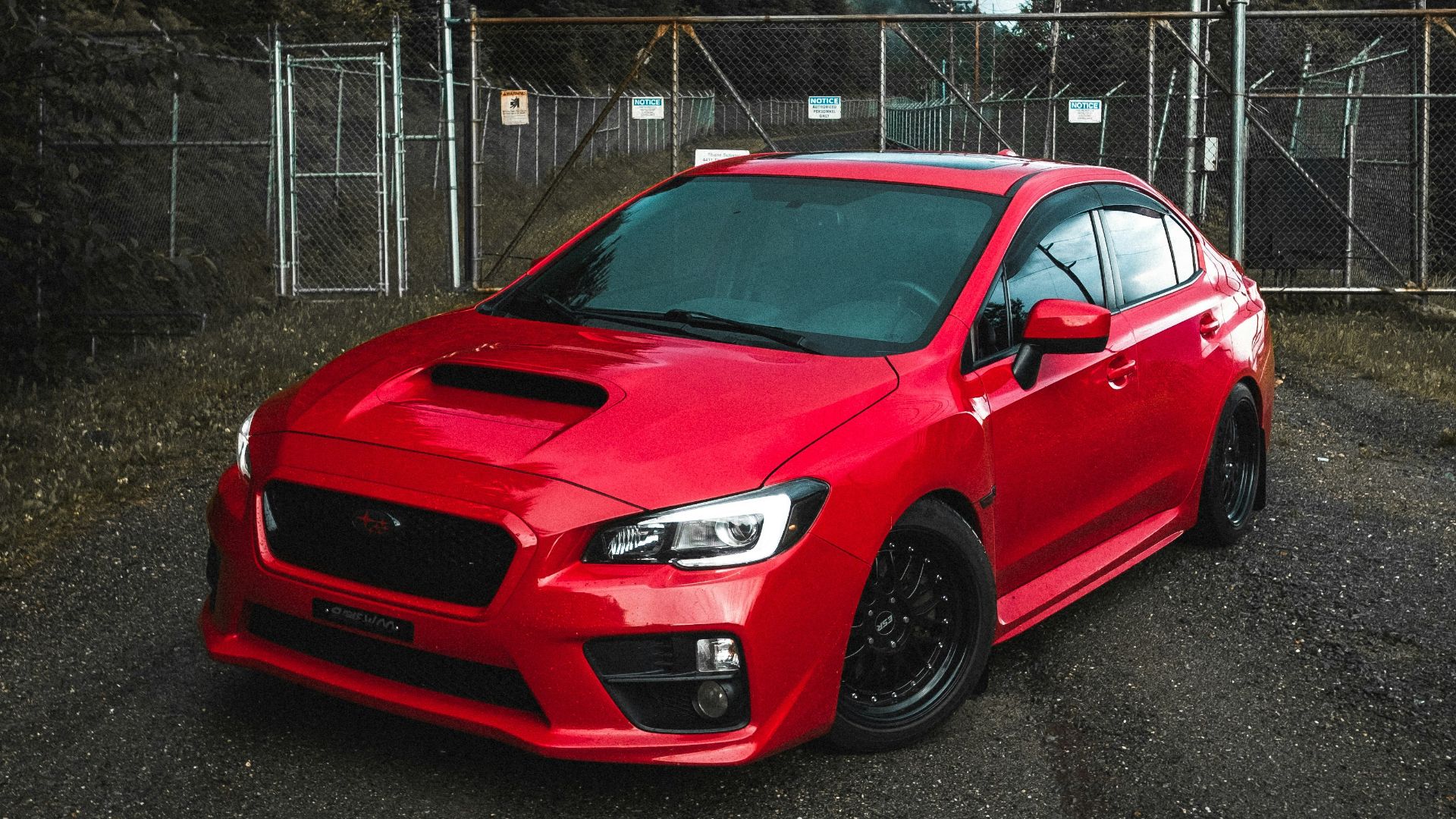 red chevrolet camaro on road