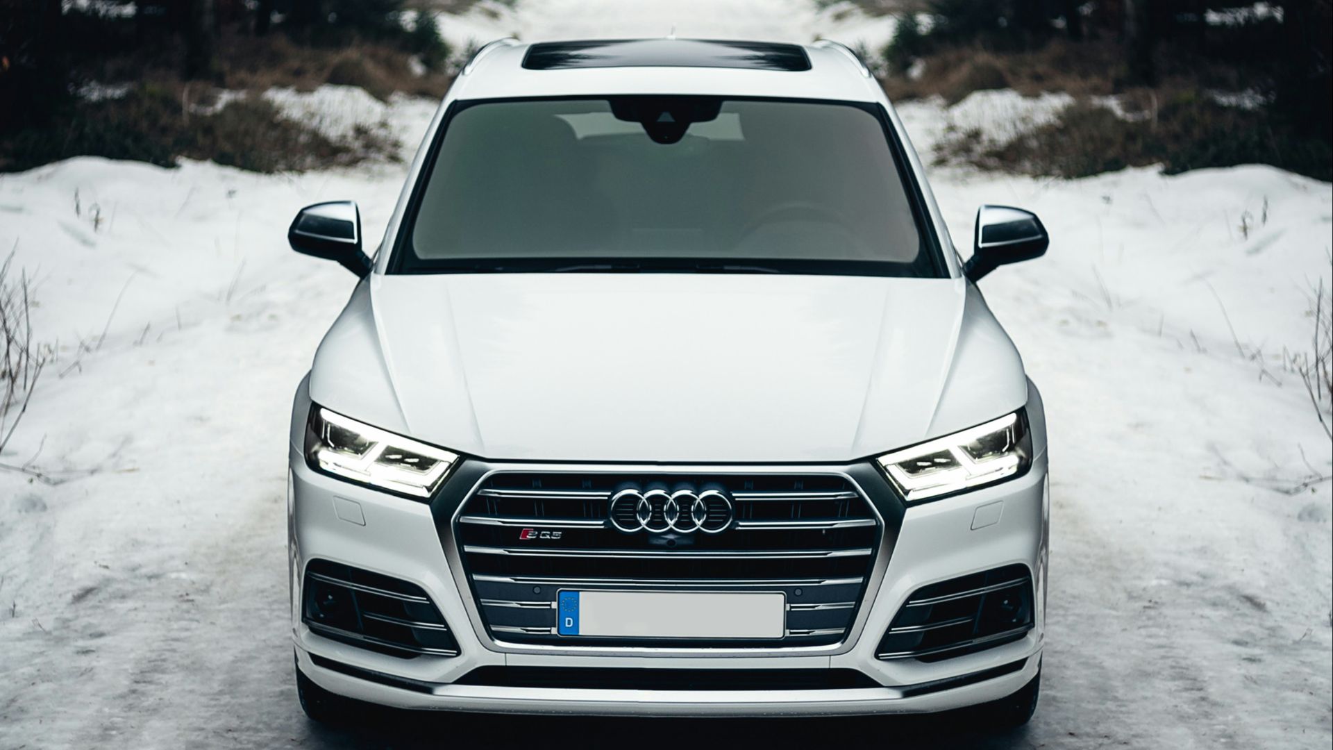 white Audi A8 on the road surrounded of trees