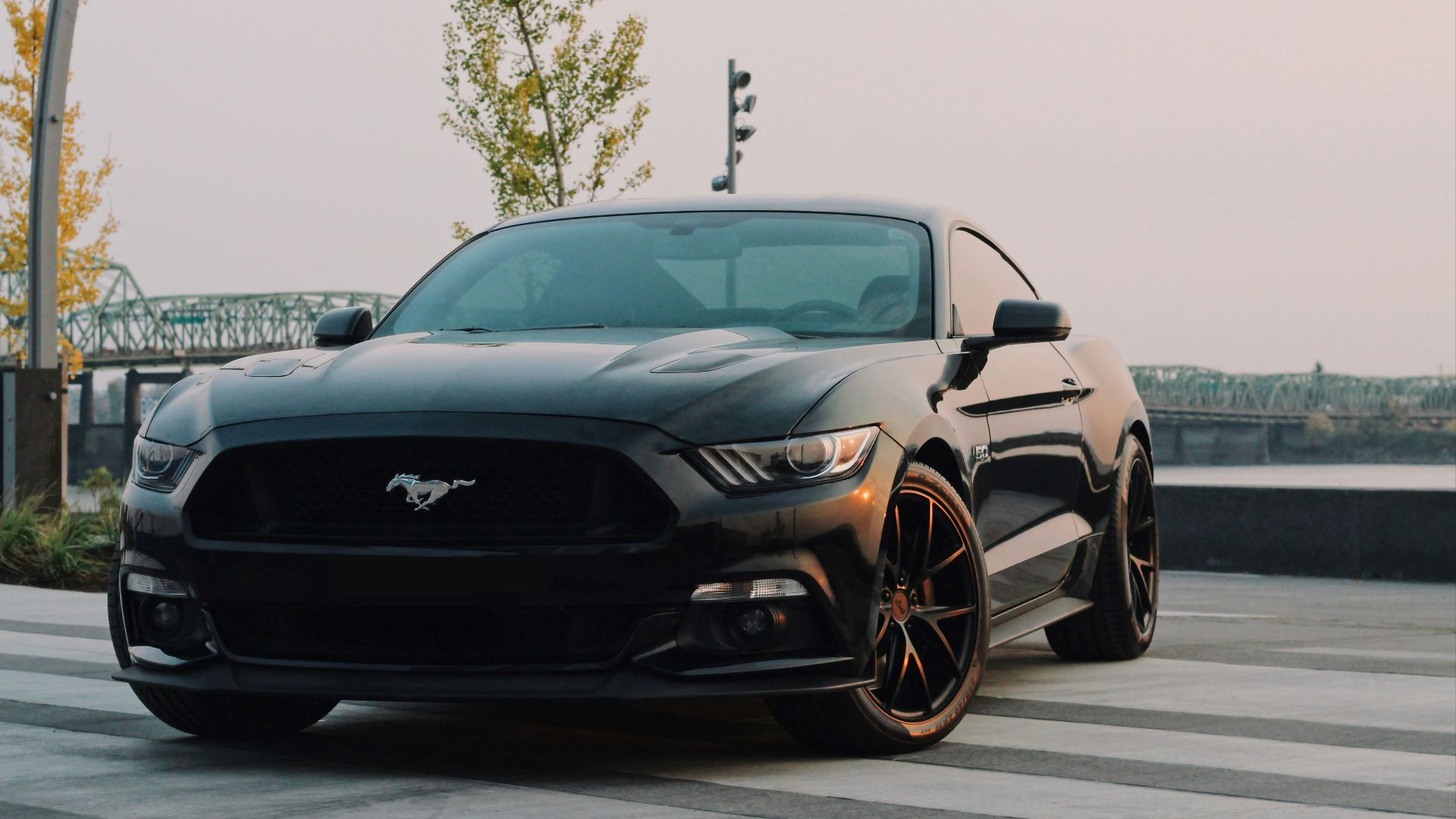 black Ford Mustang coupe parked near green tree