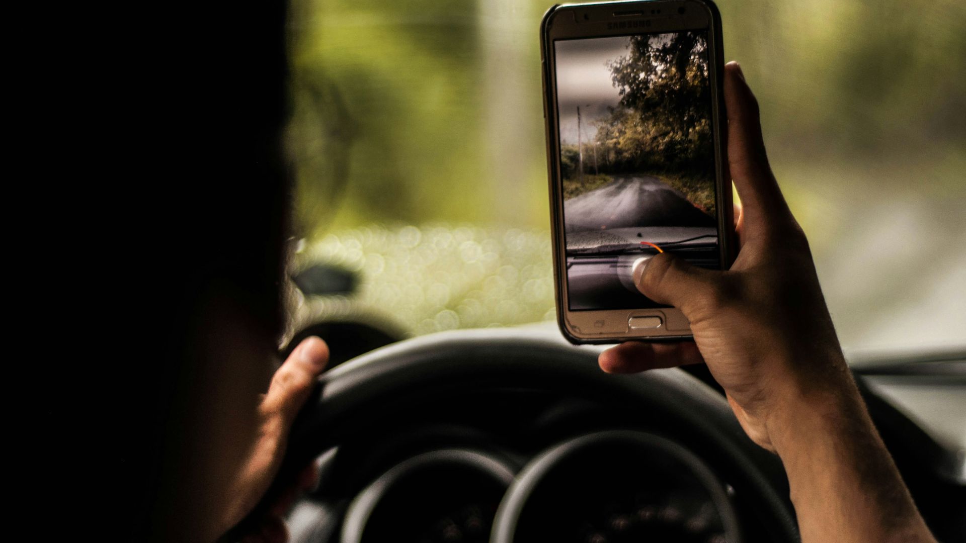 person taking a photo of trees