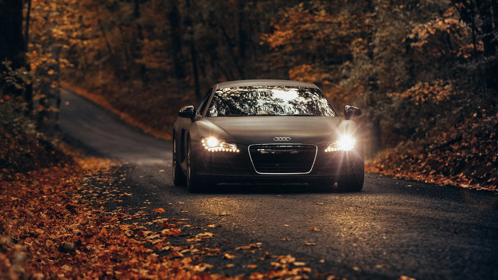black vehicle on road between trees during daytime