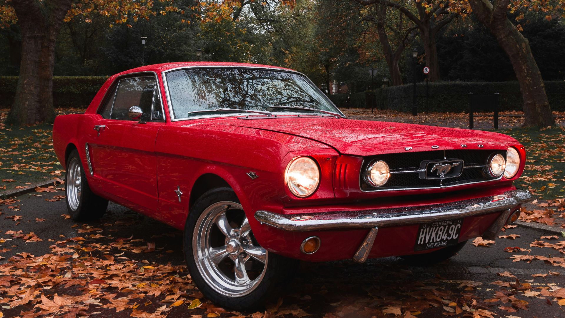 selective focus photography of parked red Ford Mustang coupe