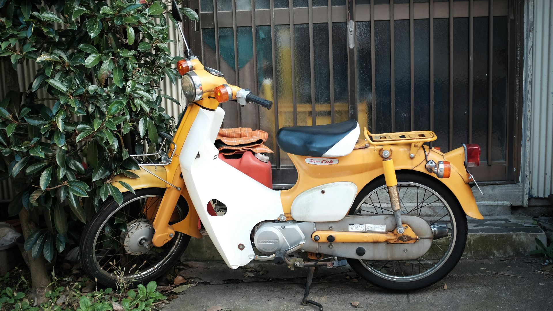 orange and white motor scooter parked beside green plants