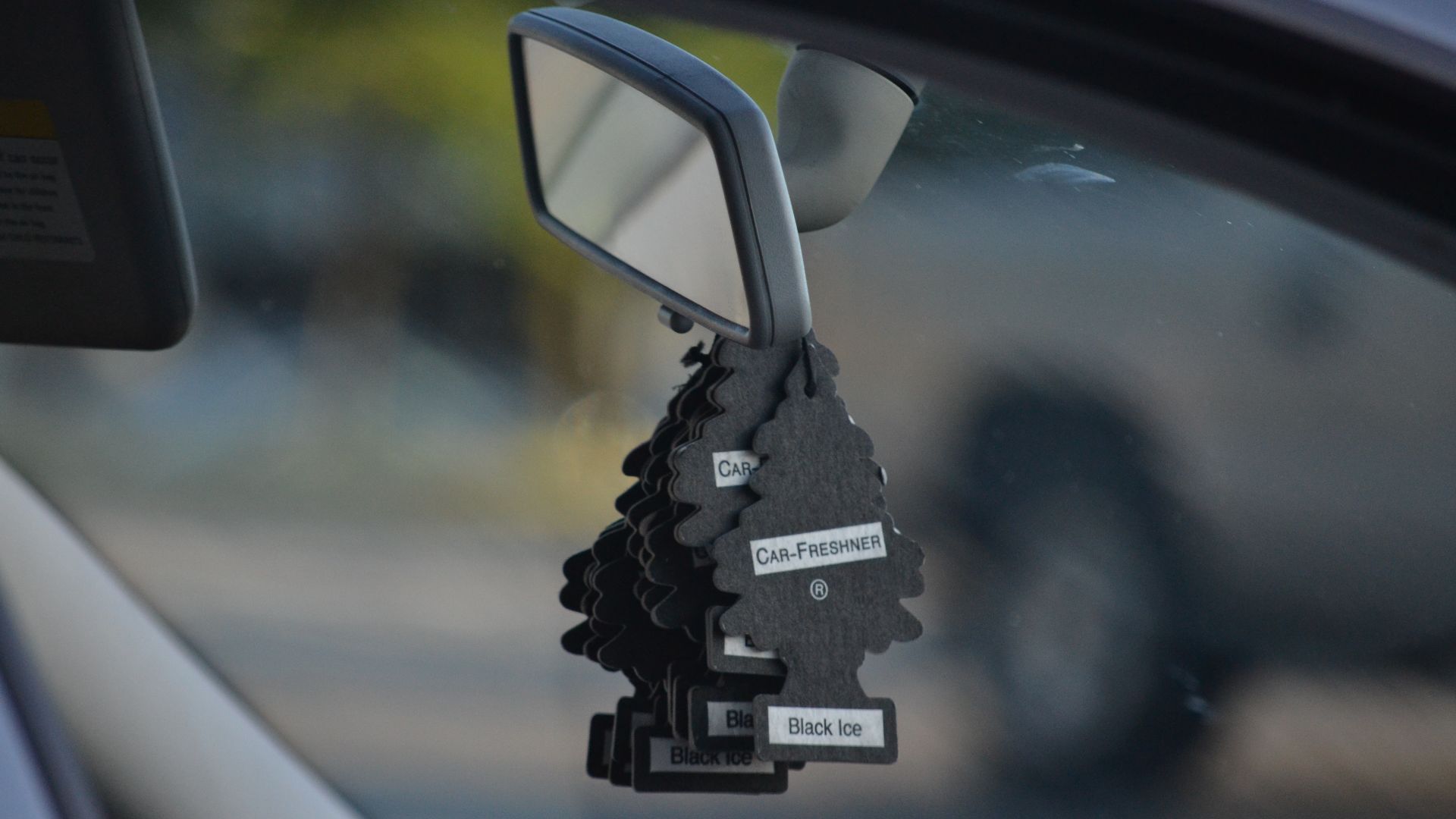File:Black Little Trees car fresheners.jpg