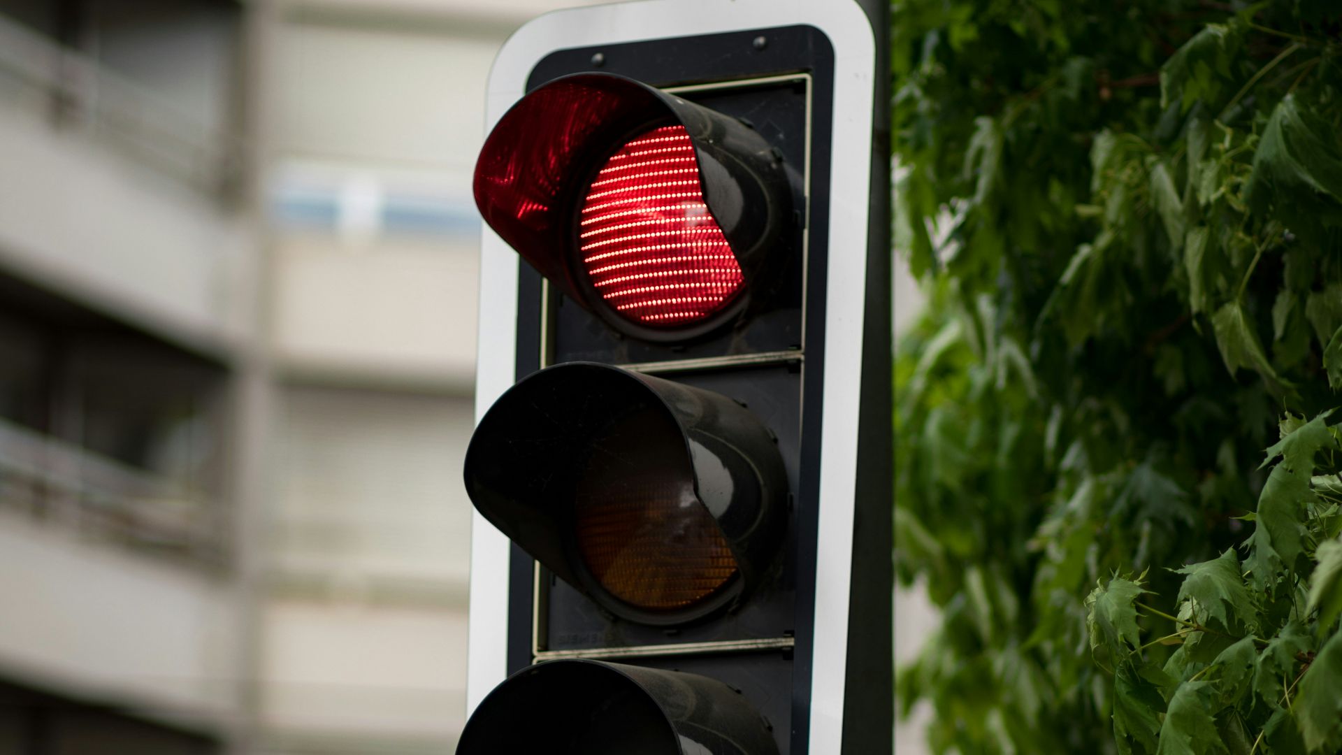shallow focus photography of traffic light