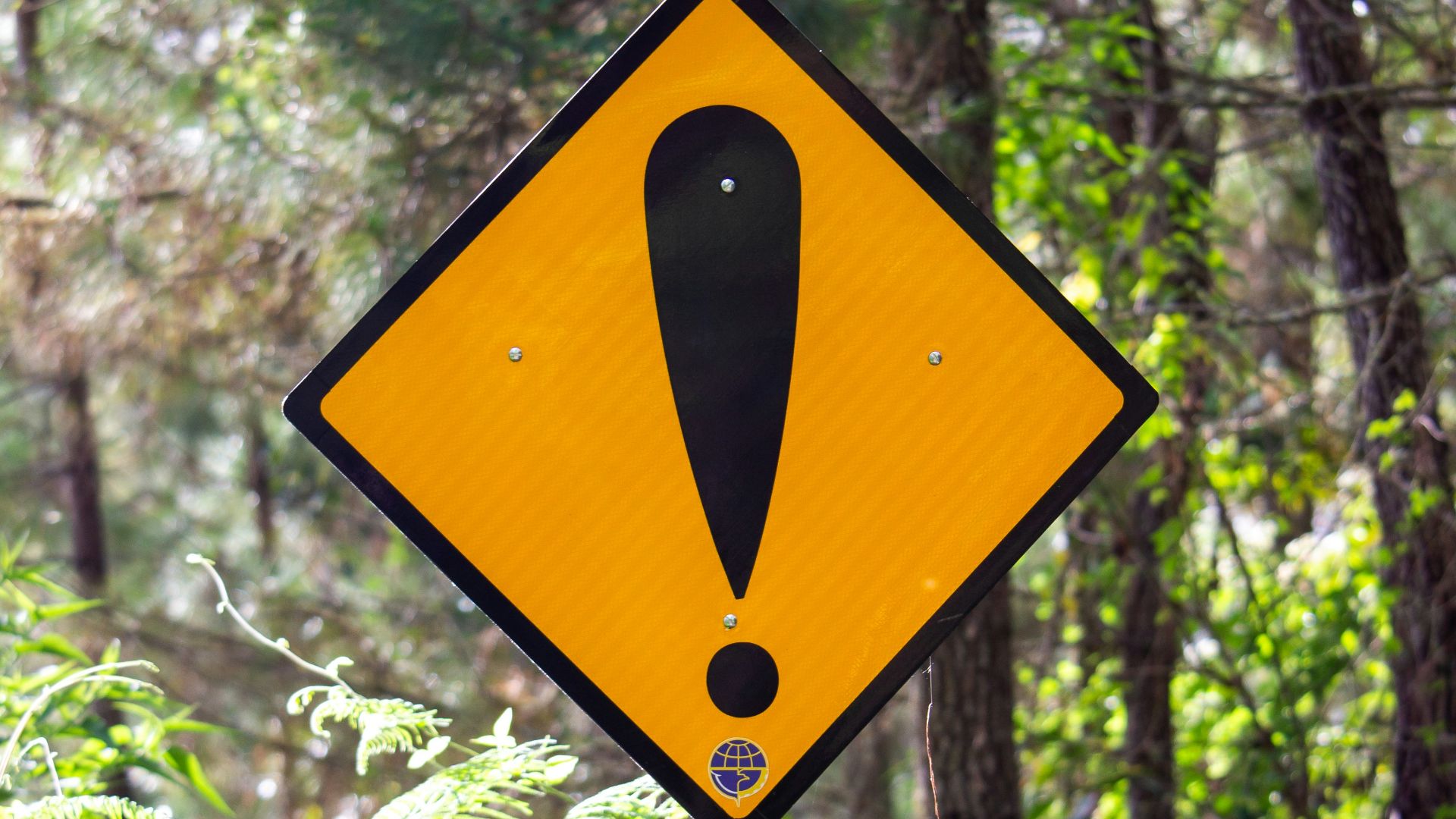 yellow and black road sign
