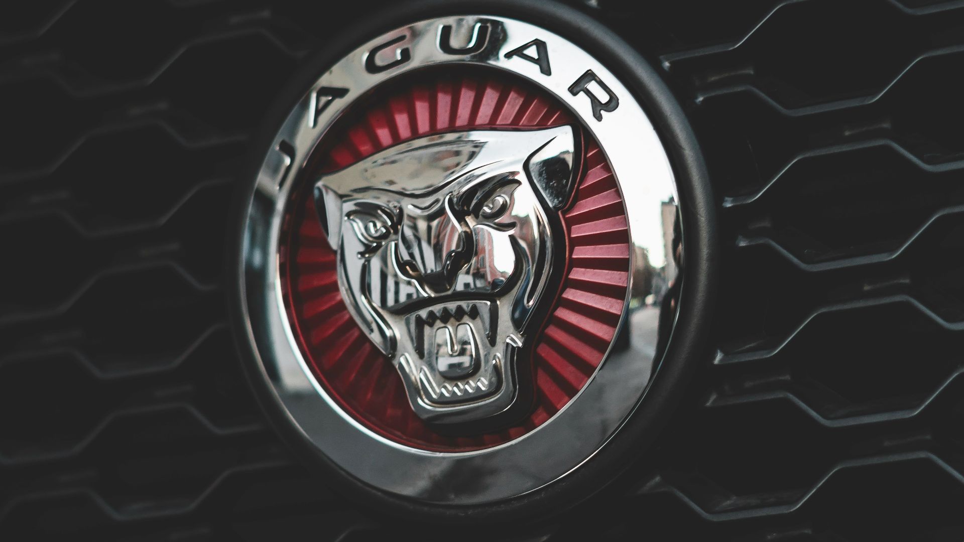 selective focus photography of Jaguar emblem
