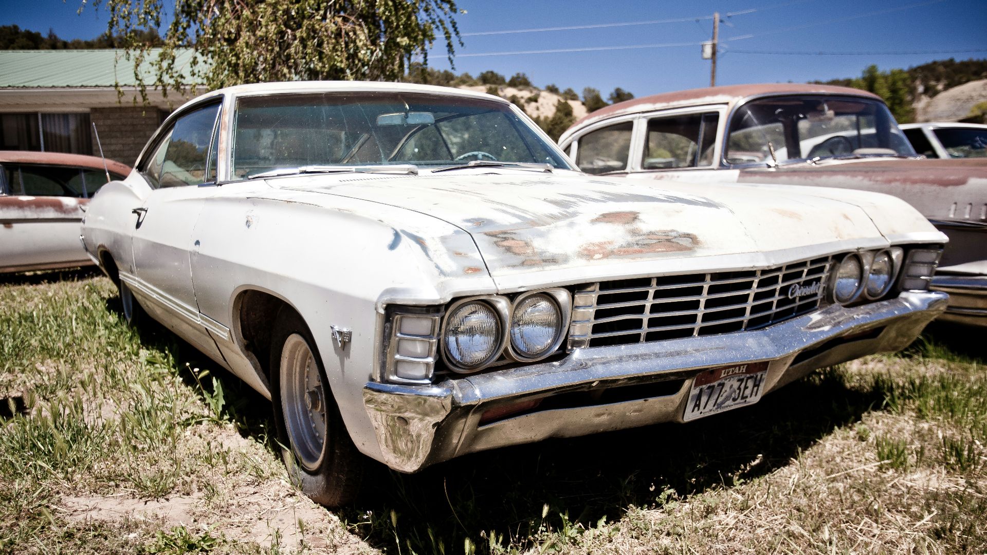 white classic Chevrolet coupe parked on grass beside brown classic sedan